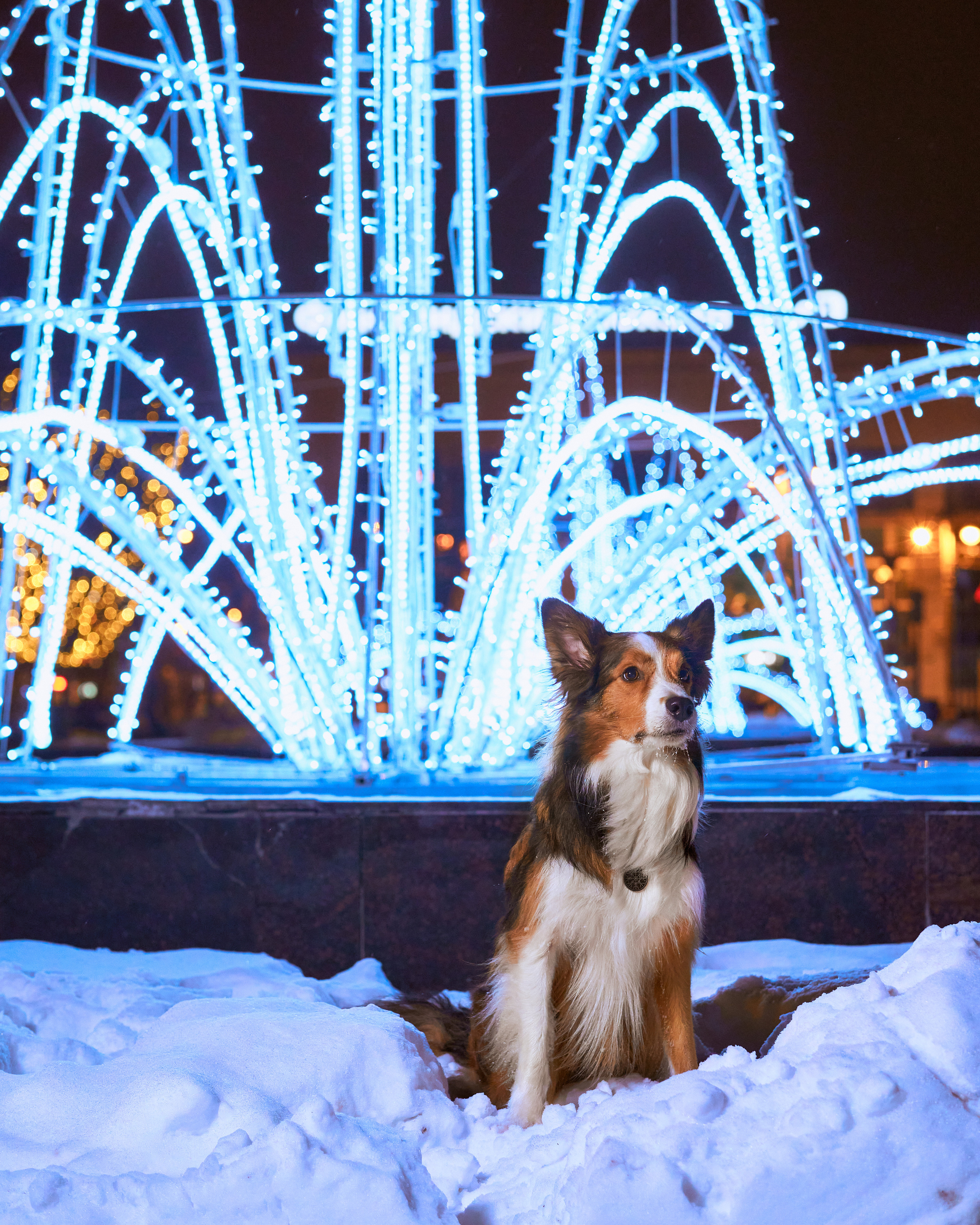 Прогулочные. Фотограф людей и животных в Санкт-Петербурге Марина Бурмистрова