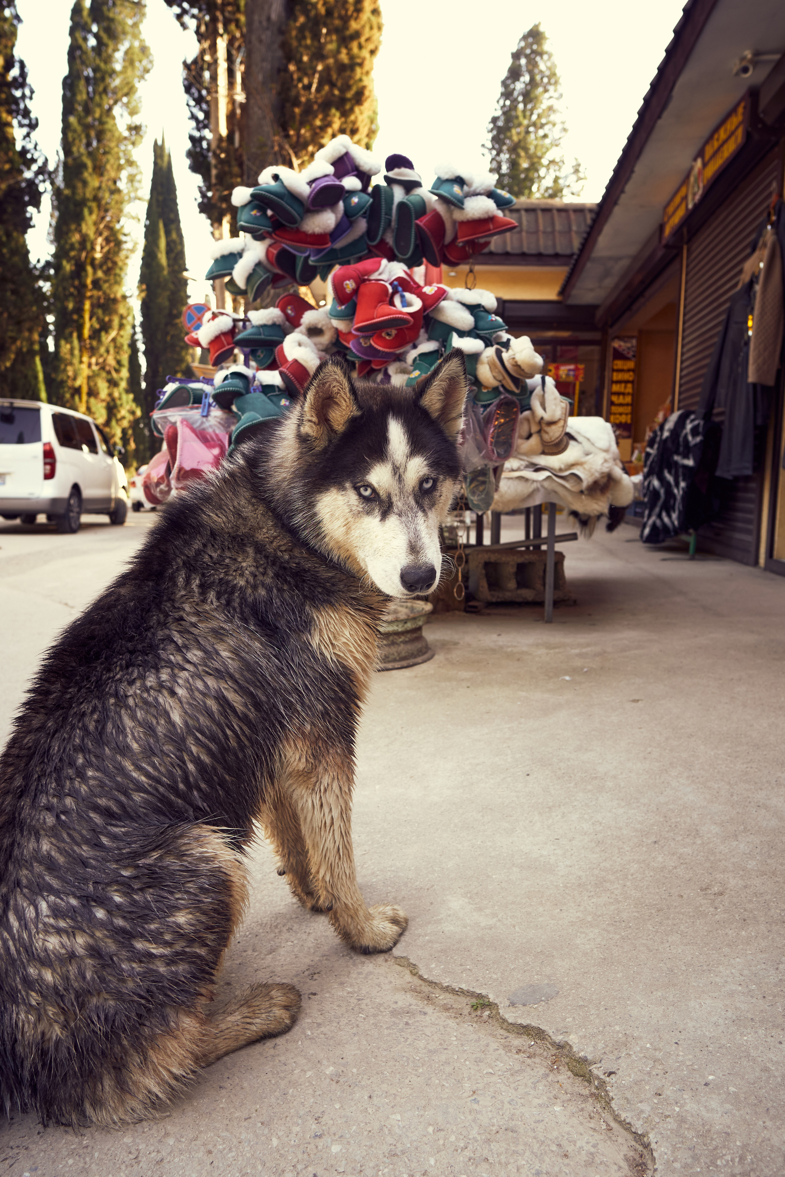 Абхазия 2022. Фотограф людей и животных в Санкт-Петербурге Марина Бурмистрова