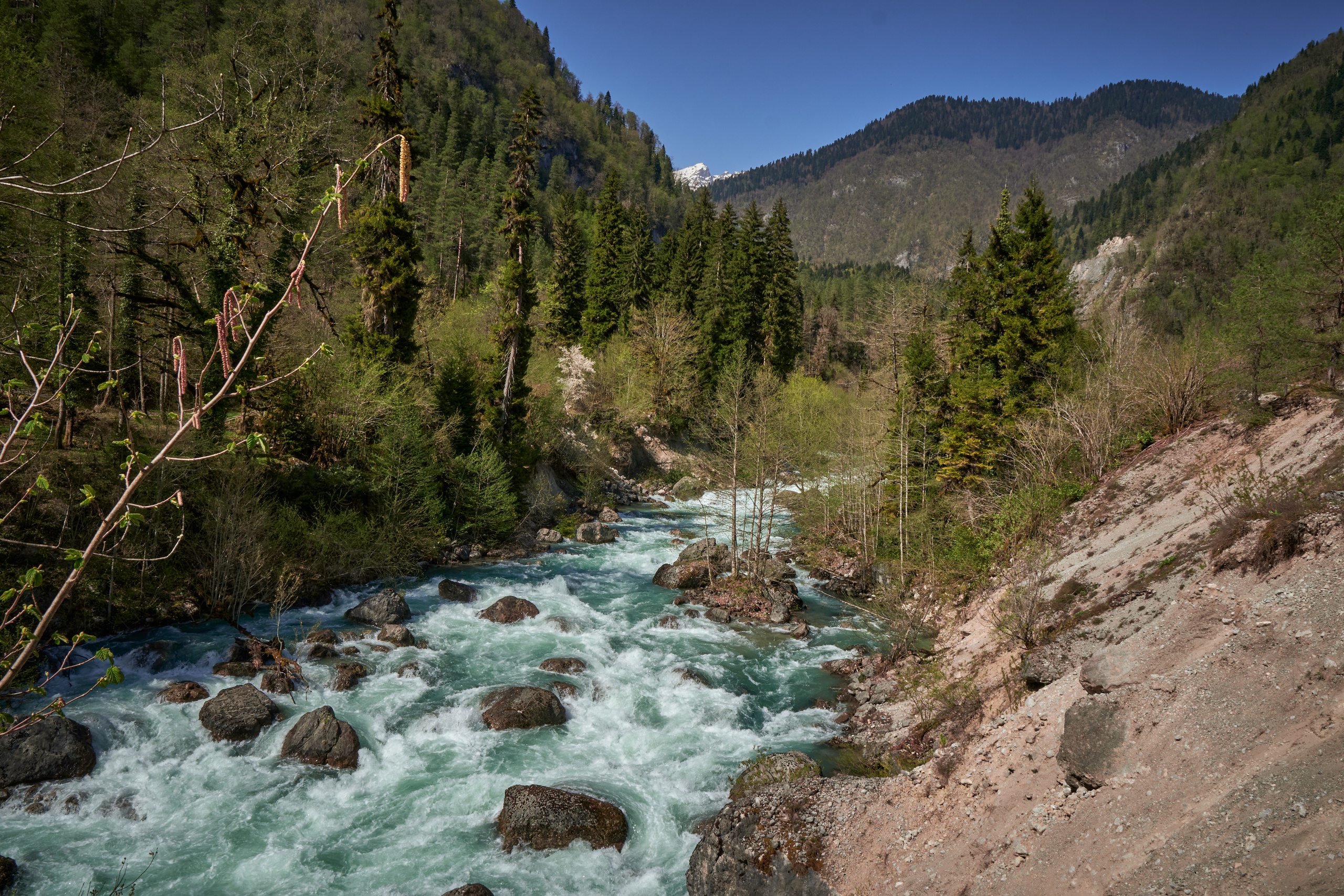 Абхазия 2022. Фотограф людей и животных в Санкт-Петербурге Марина Бурмистрова