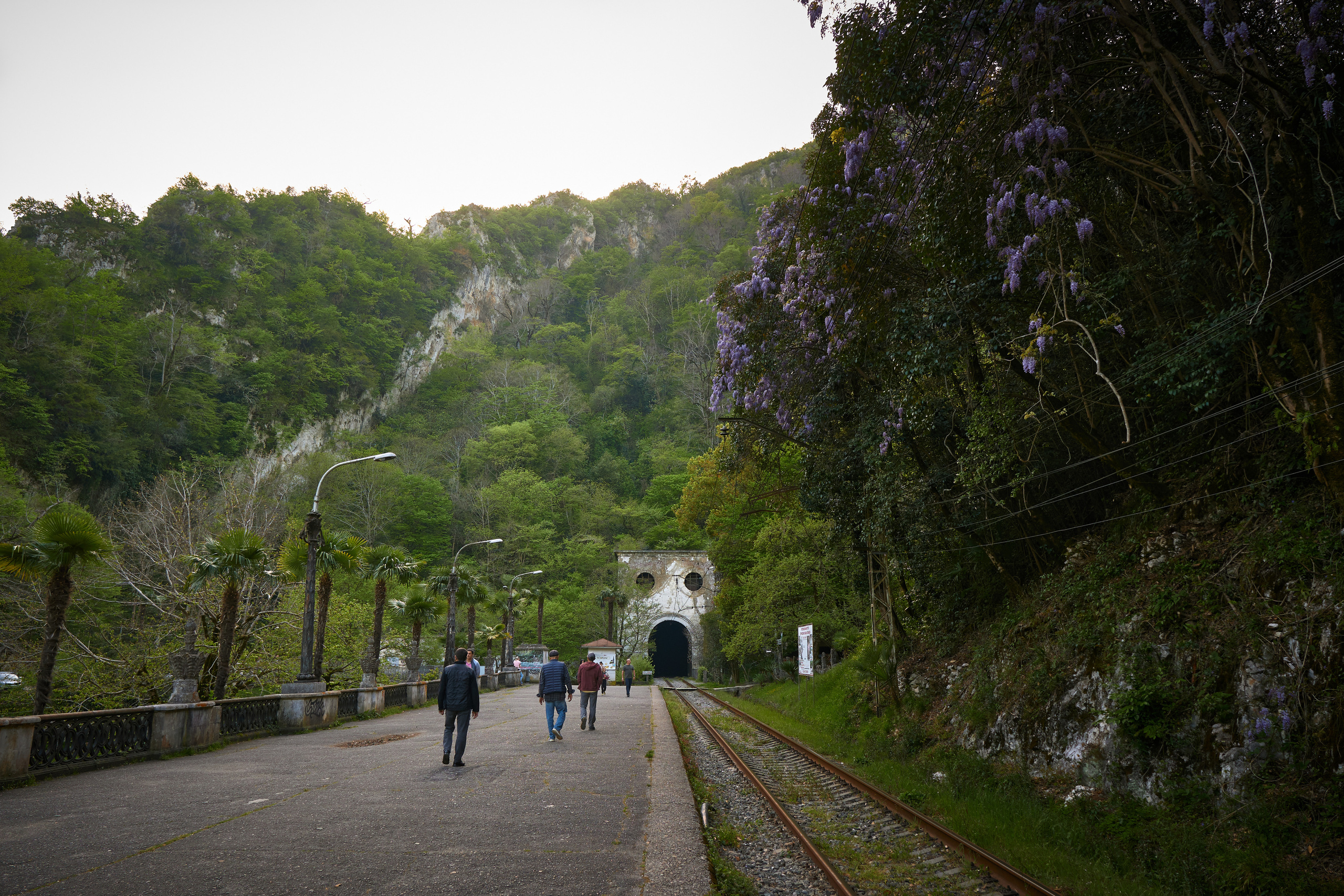 Абхазия 2022. Фотограф людей и животных в Санкт-Петербурге Марина Бурмистрова