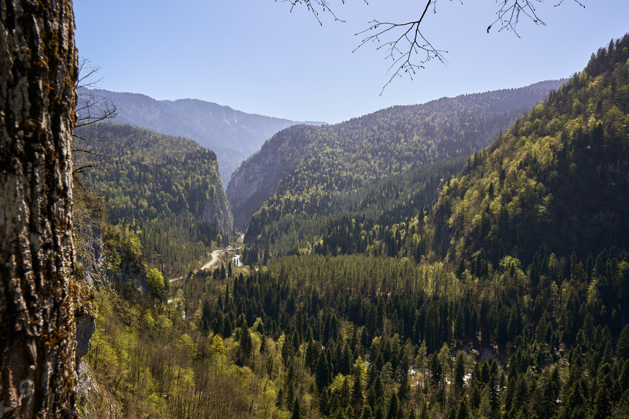 Абхазия 2022. Фотограф людей и животных в Санкт-Петербурге Марина Бурмистрова