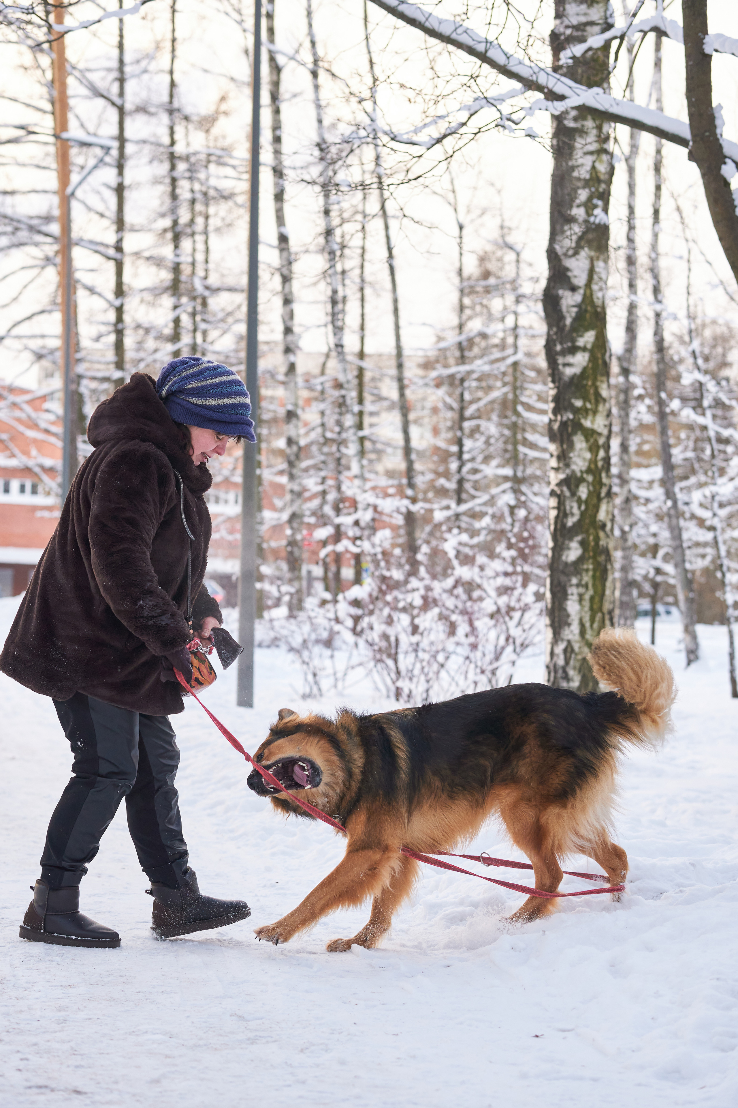 Прогулочные. Фотограф людей и животных в Санкт-Петербурге Марина Бурмистрова