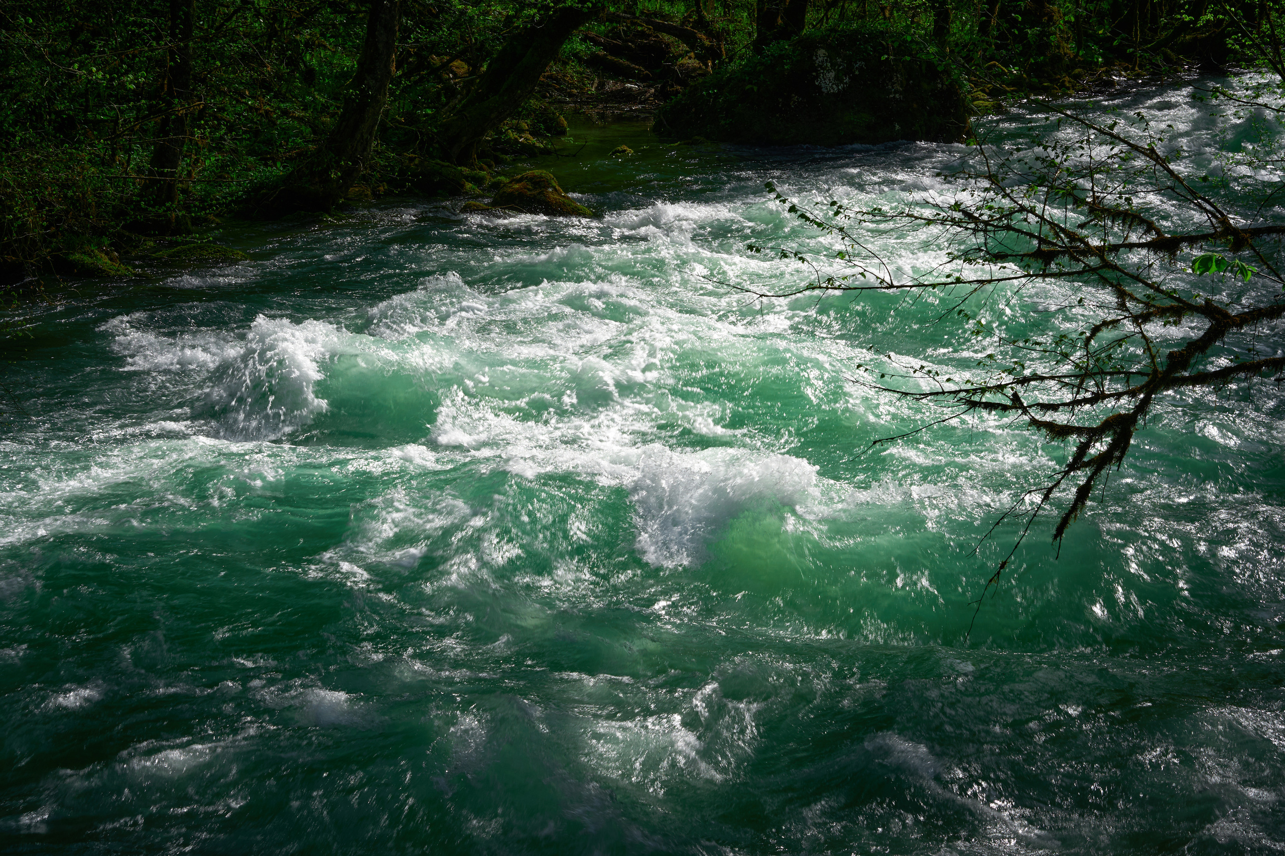 Абхазия 2022. Фотограф людей и животных в Санкт-Петербурге Марина Бурмистрова