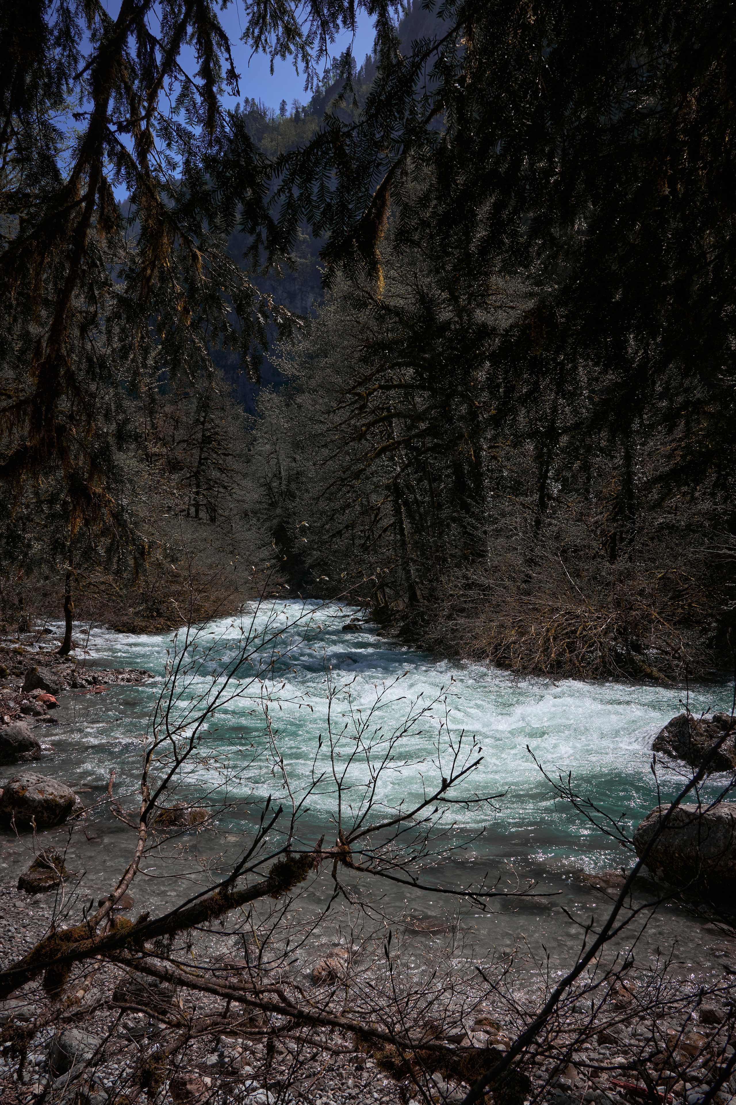 Абхазия 2022. Фотограф людей и животных в Санкт-Петербурге Марина Бурмистрова