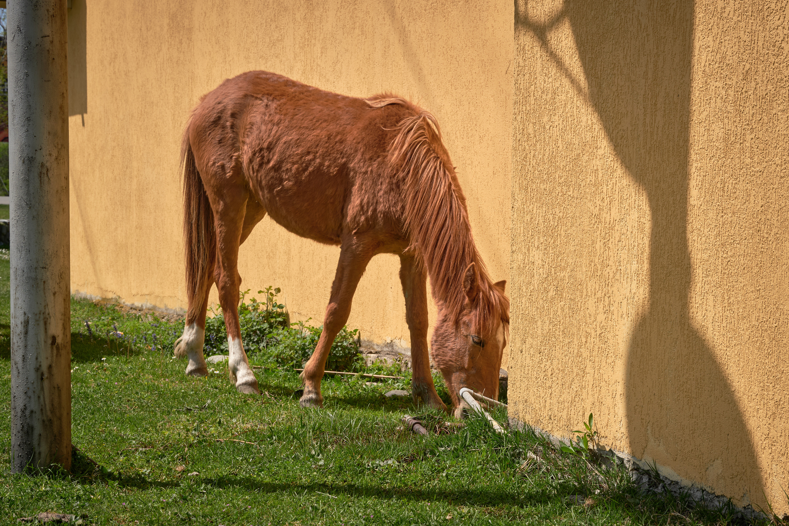 Абхазия 2022. Фотограф людей и животных в Санкт-Петербурге Марина Бурмистрова