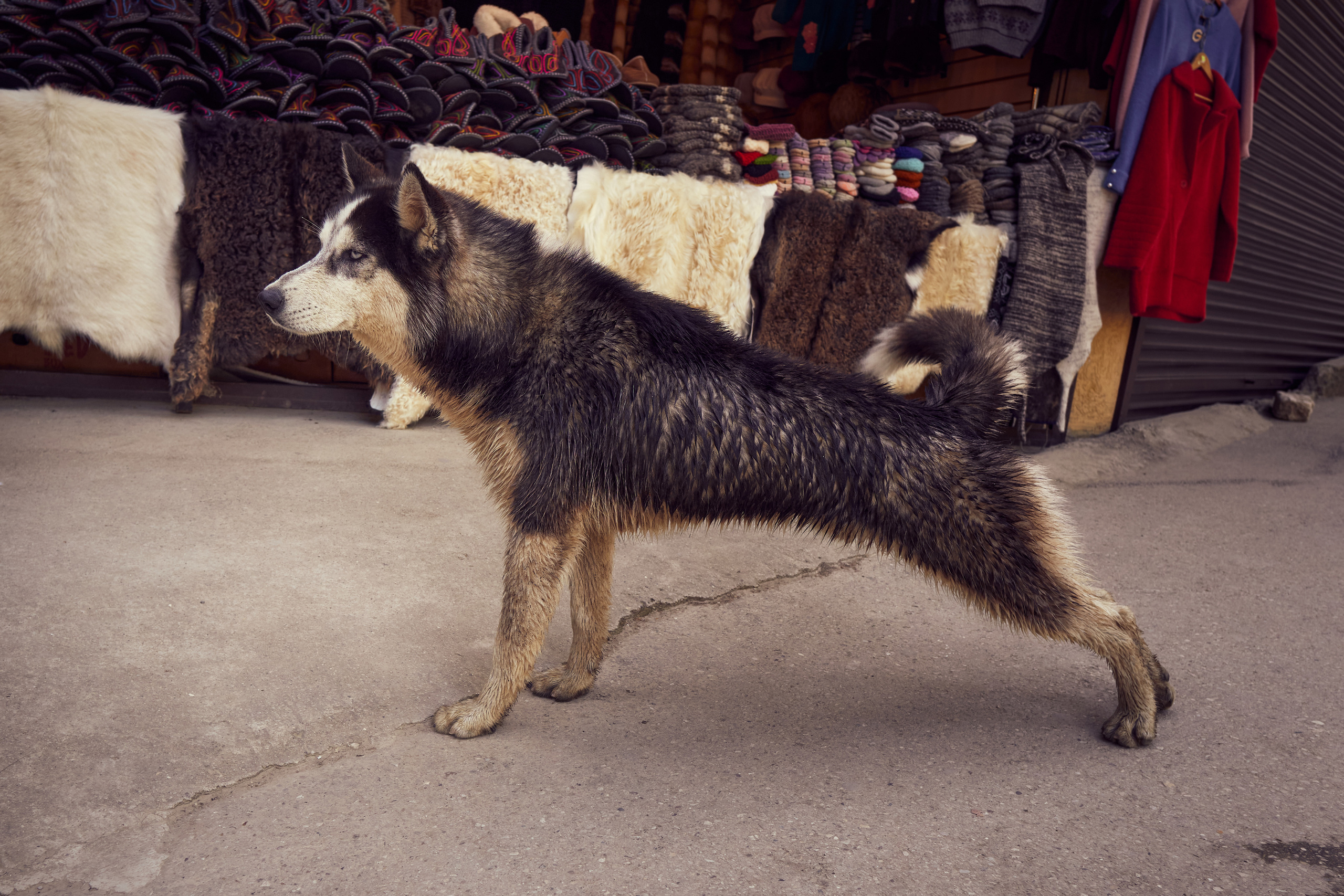 Абхазия 2022. Фотограф людей и животных в Санкт-Петербурге Марина Бурмистрова