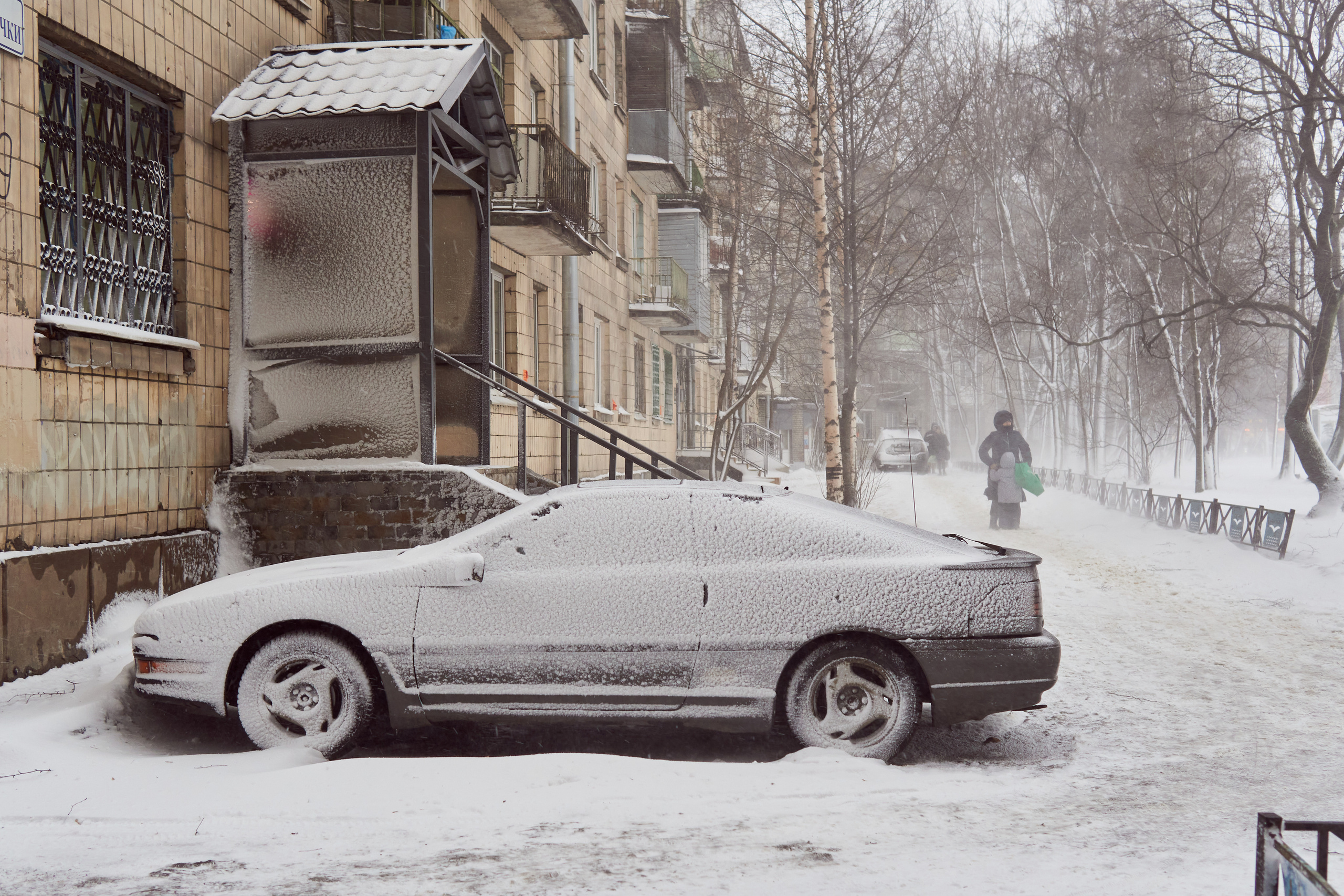 Художественный репортаж шторма в СПб. Фотограф людей и животных в Санкт-Петербурге Марина Бурмистрова