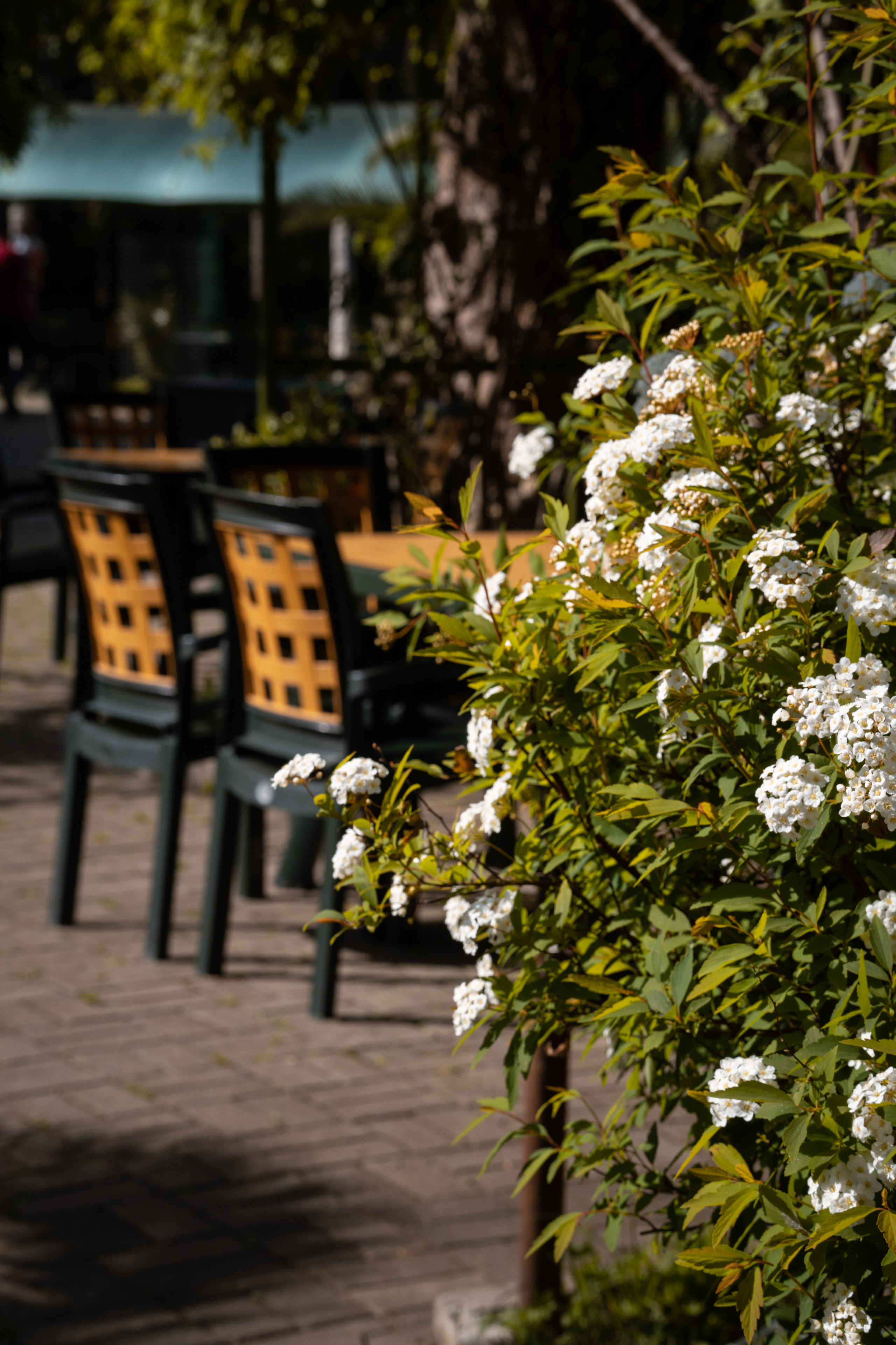 Абхазия 2022. Фотограф людей и животных в Санкт-Петербурге Марина Бурмистрова