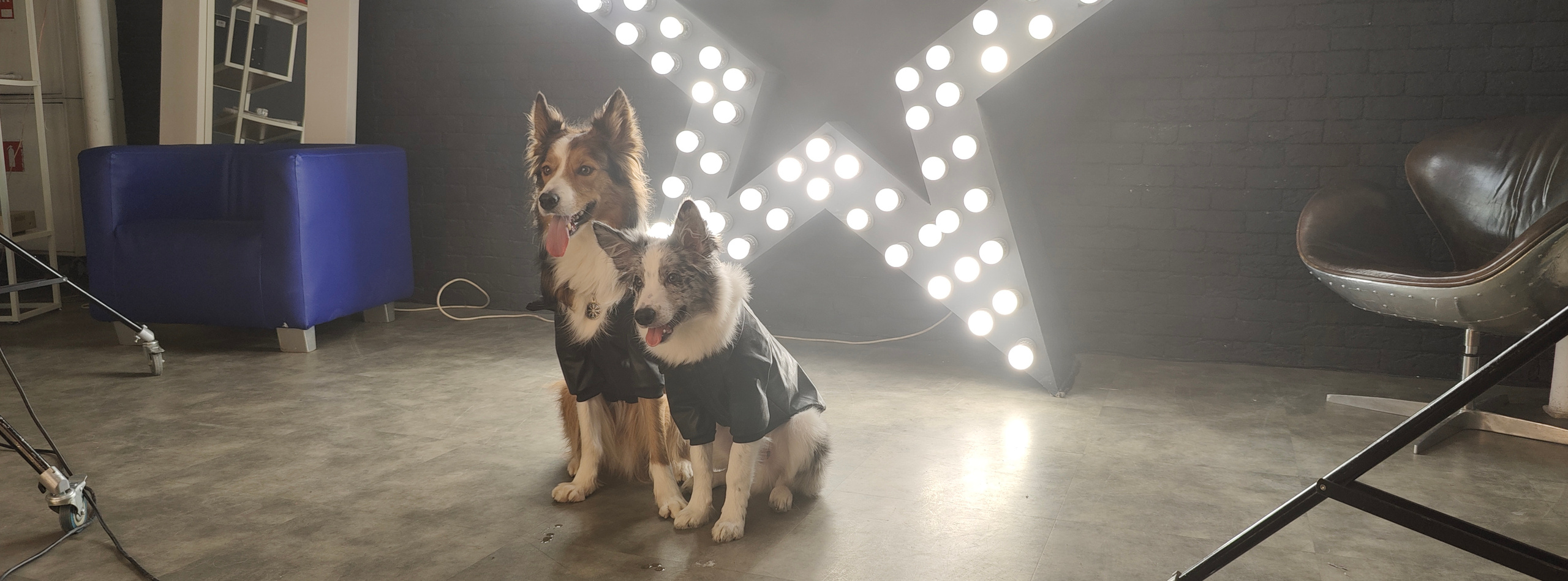 Бэкстейдж со съемки в стиле рок-звезд 😎. Фотограф людей и животных в Санкт-Петербурге Марина Бурмистрова