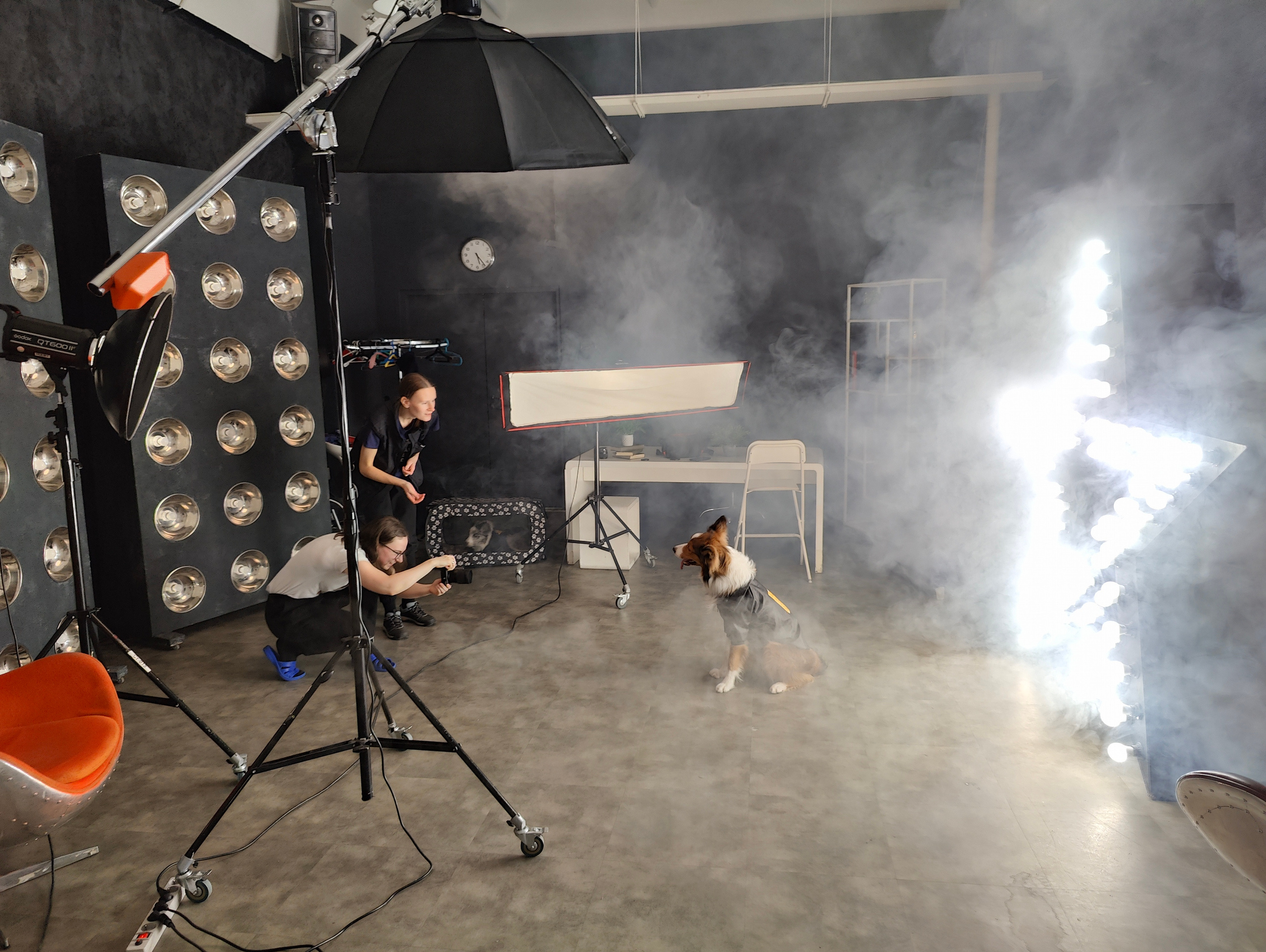 Бэкстейдж со съемки в стиле рок-звезд 😎. Фотограф людей и животных в Санкт-Петербурге Марина Бурмистрова