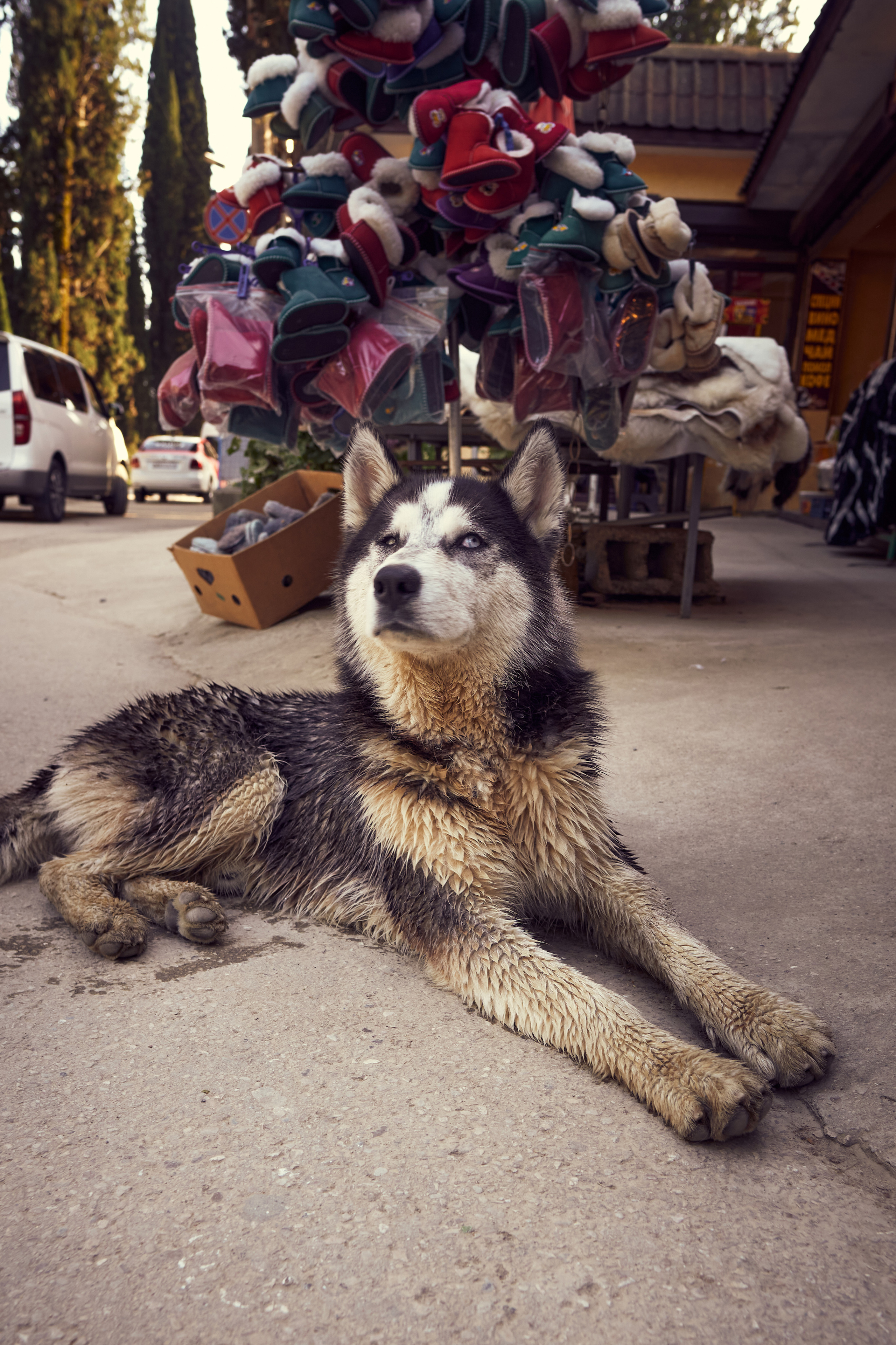 Абхазия 2022. Фотограф людей и животных в Санкт-Петербурге Марина Бурмистрова
