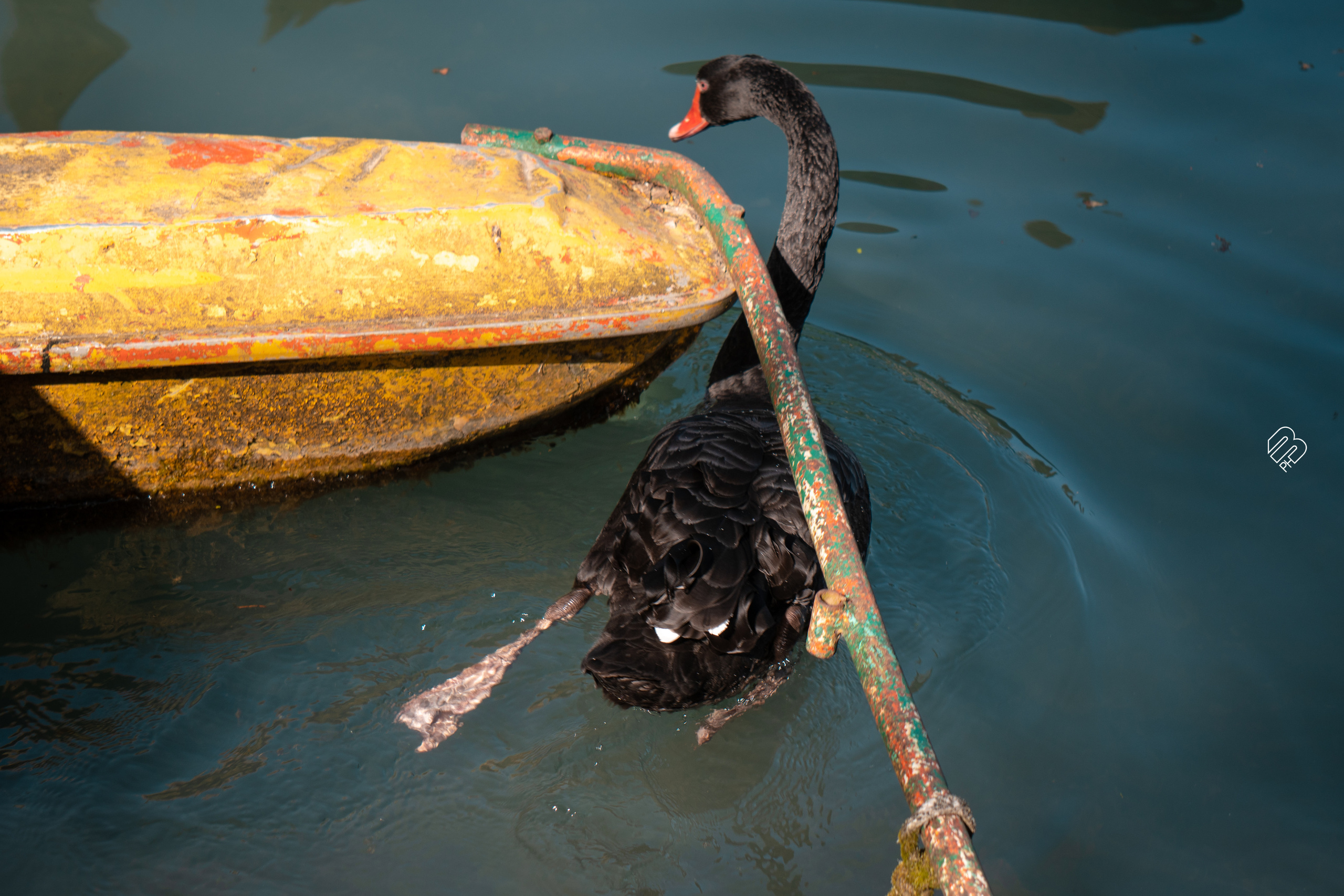 Абхазия 2022. Фотограф людей и животных в Санкт-Петербурге Марина Бурмистрова