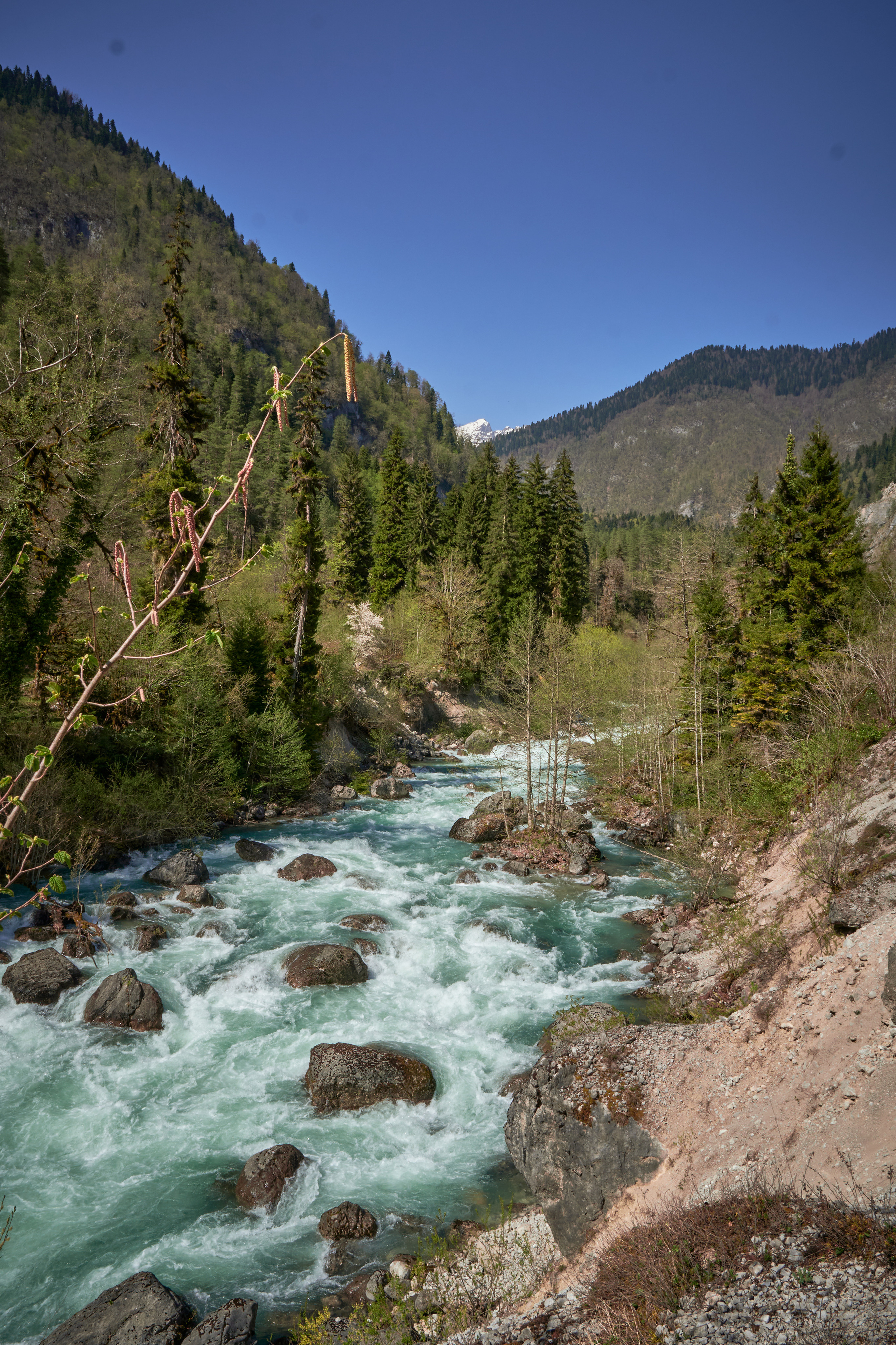 Абхазия 2022. Фотограф людей и животных в Санкт-Петербурге Марина Бурмистрова