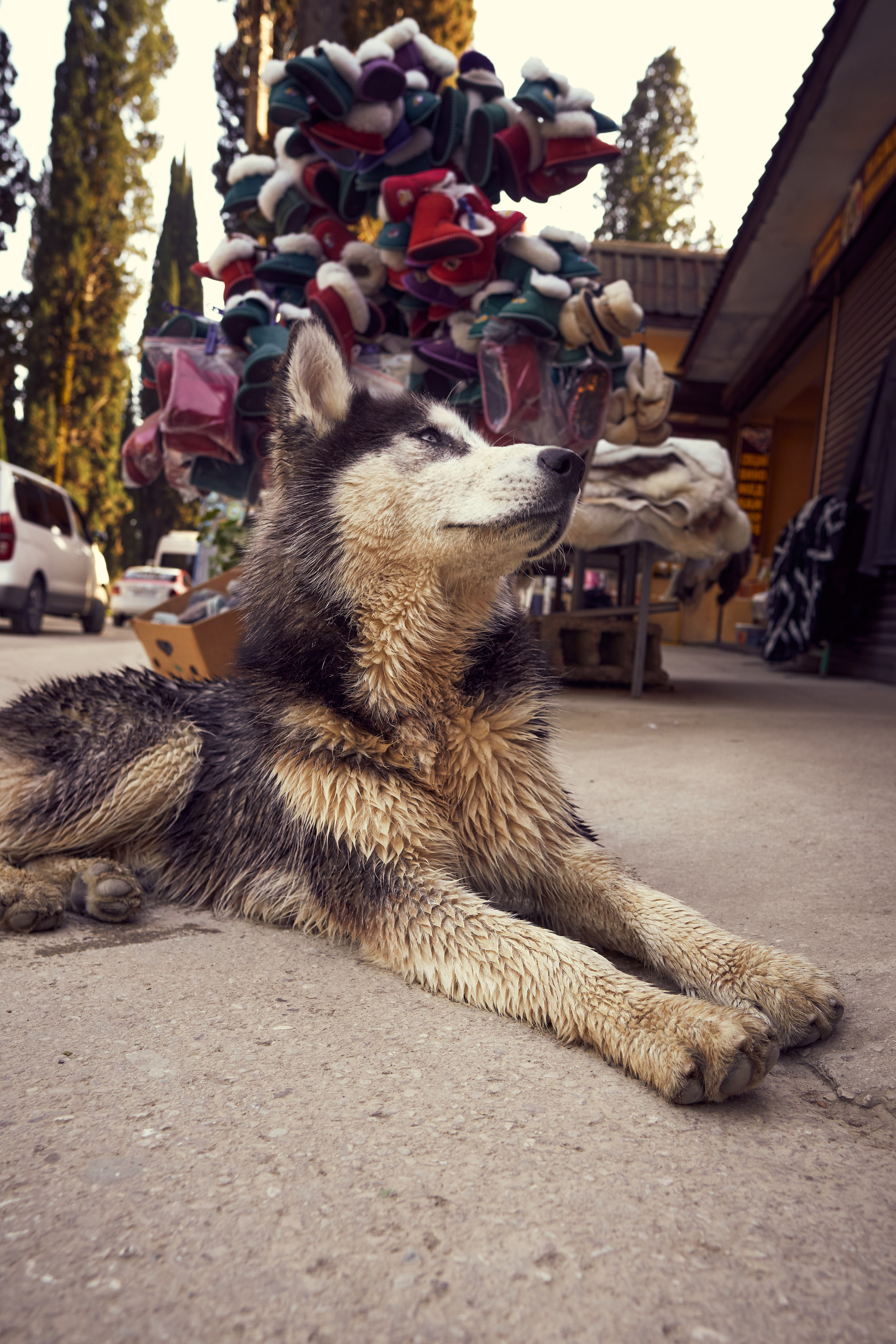 Абхазия 2022. Фотограф людей и животных в Санкт-Петербурге Марина Бурмистрова