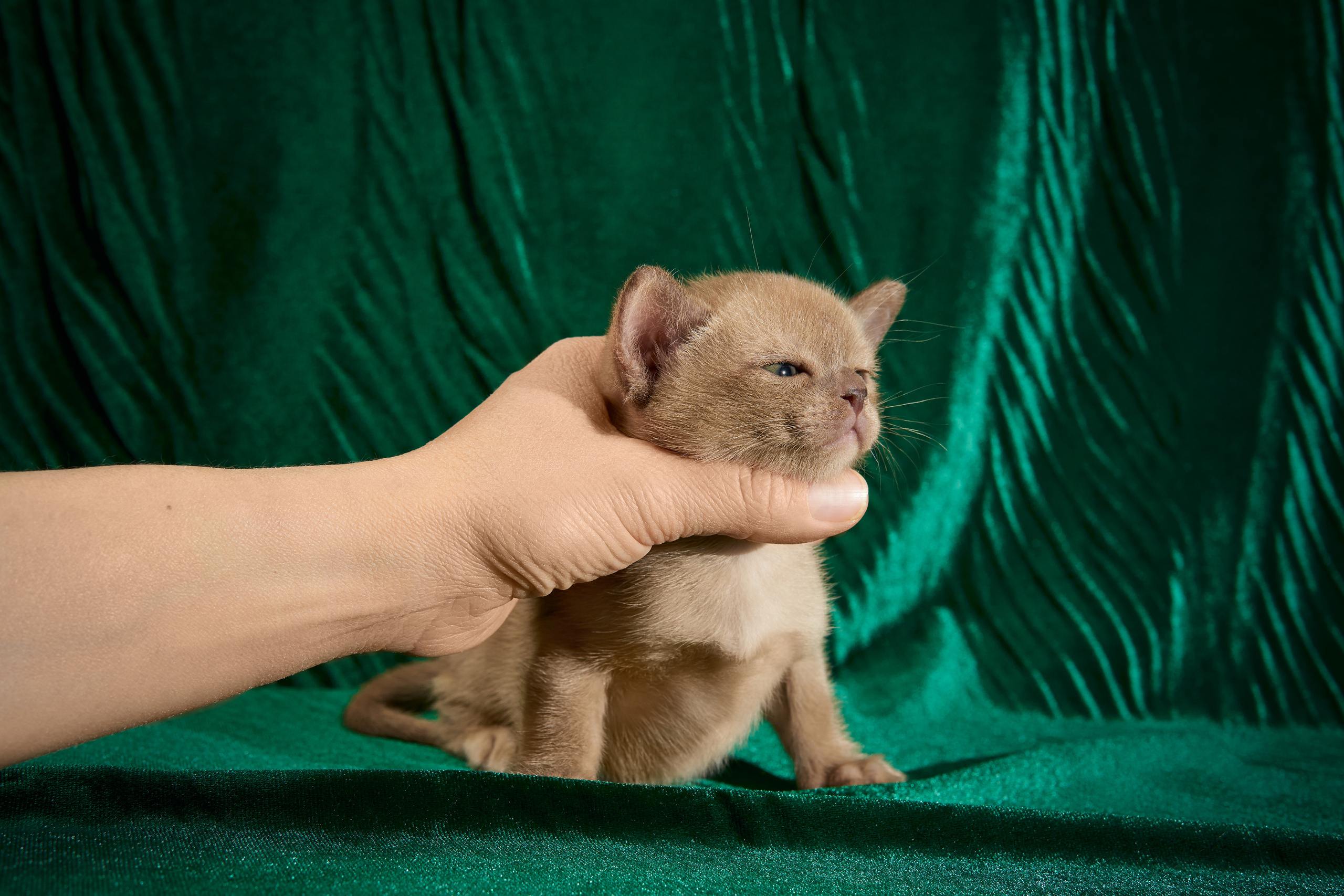 Выездные. Фотограф людей и животных в Санкт-Петербурге Марина Бурмистрова