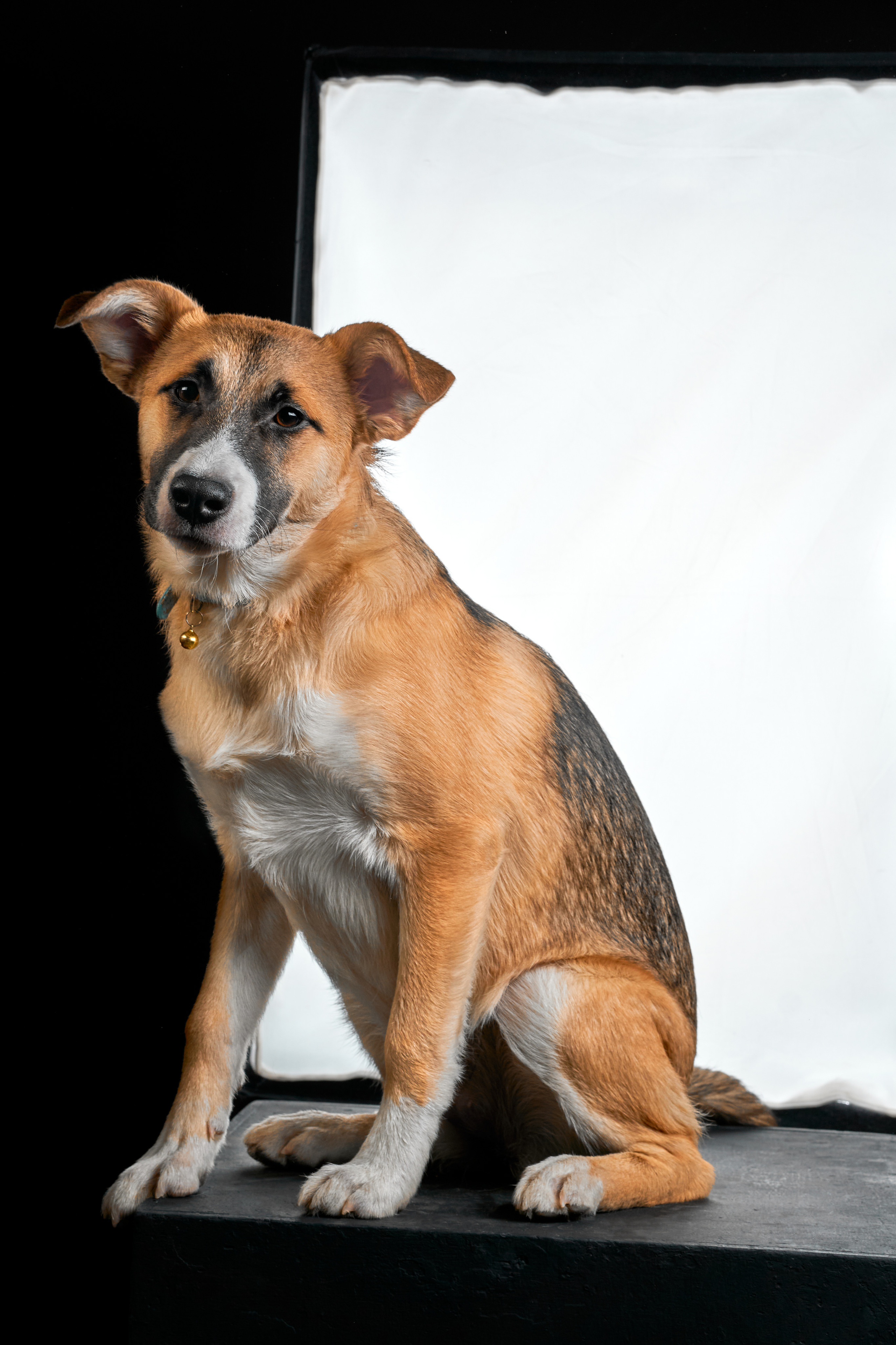 Студийные. Фотограф людей и животных в Санкт-Петербурге Марина Бурмистрова