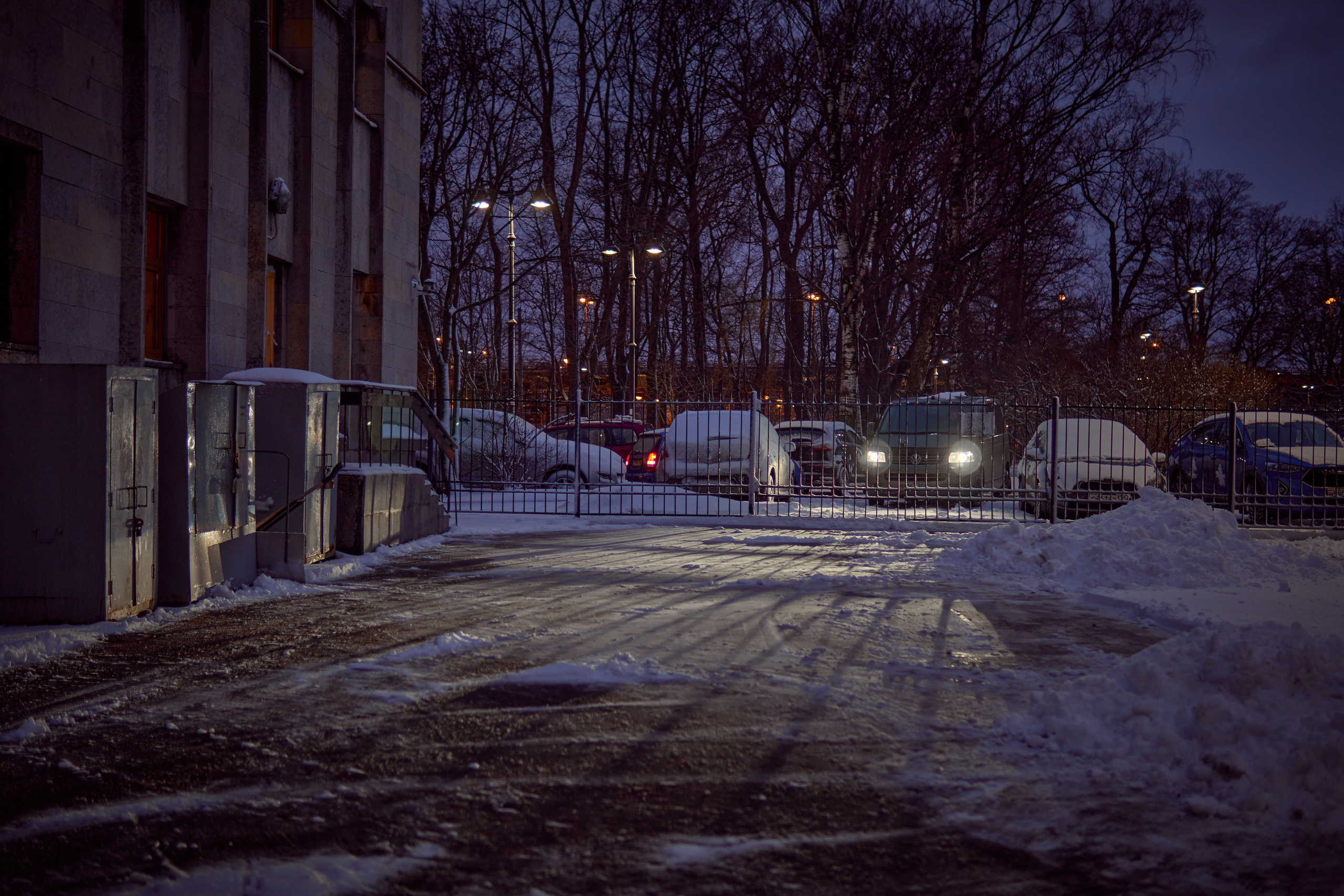 Художественный репортаж шторма в СПб. Фотограф людей и животных в Санкт-Петербурге Марина Бурмистрова