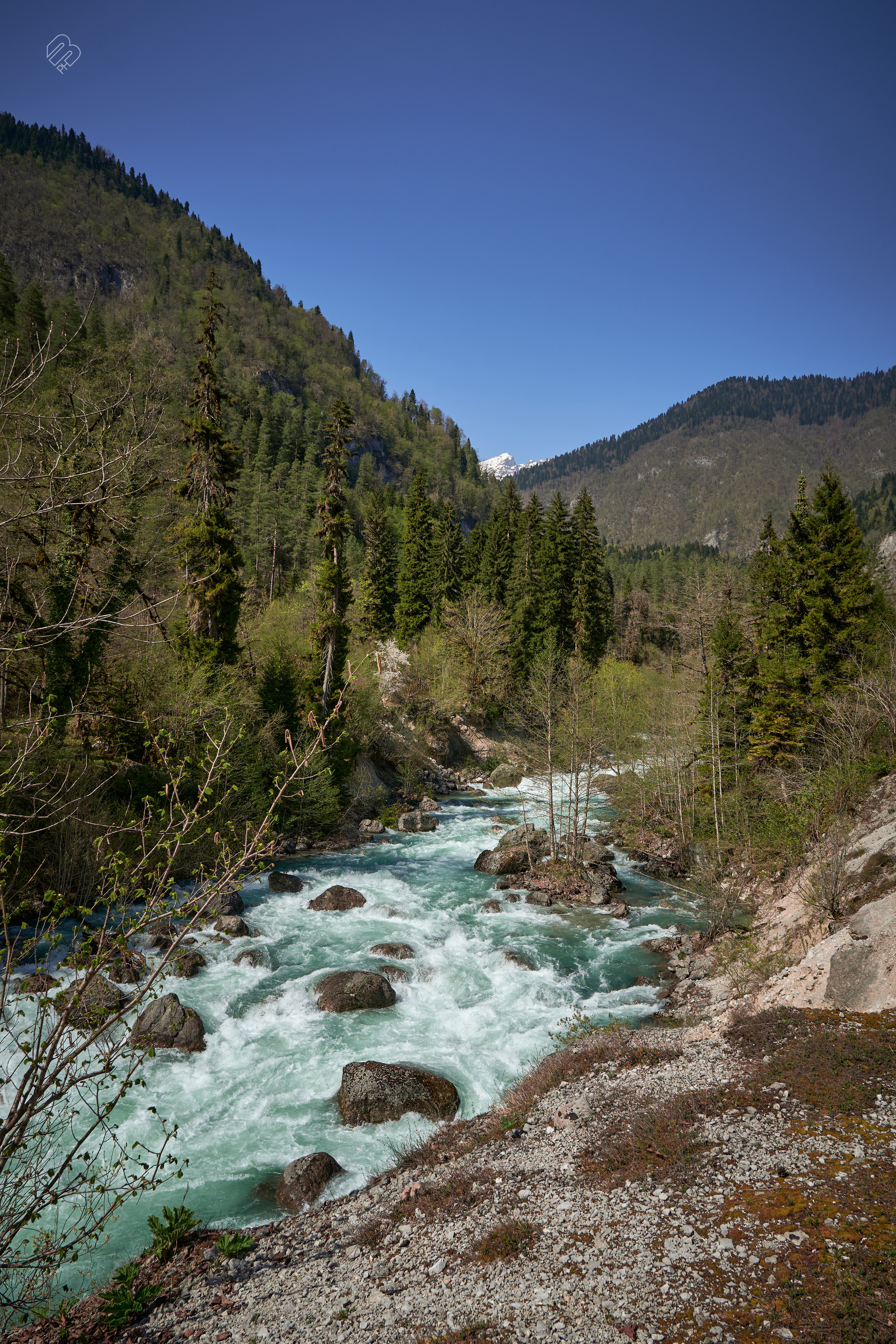 Абхазия 2022. Фотограф людей и животных в Санкт-Петербурге Марина Бурмистрова