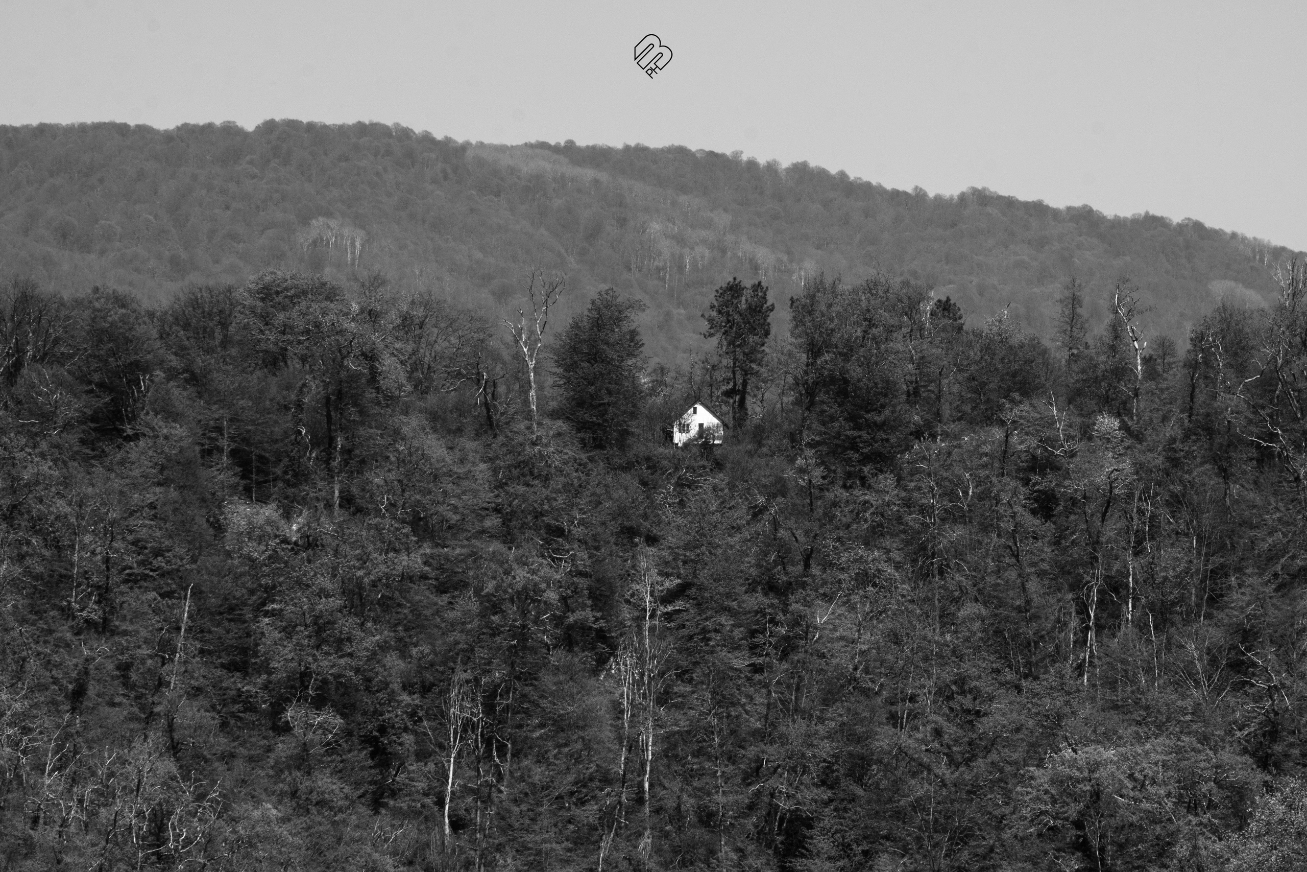 Абхазия 2022. Фотограф людей и животных в Санкт-Петербурге Марина Бурмистрова