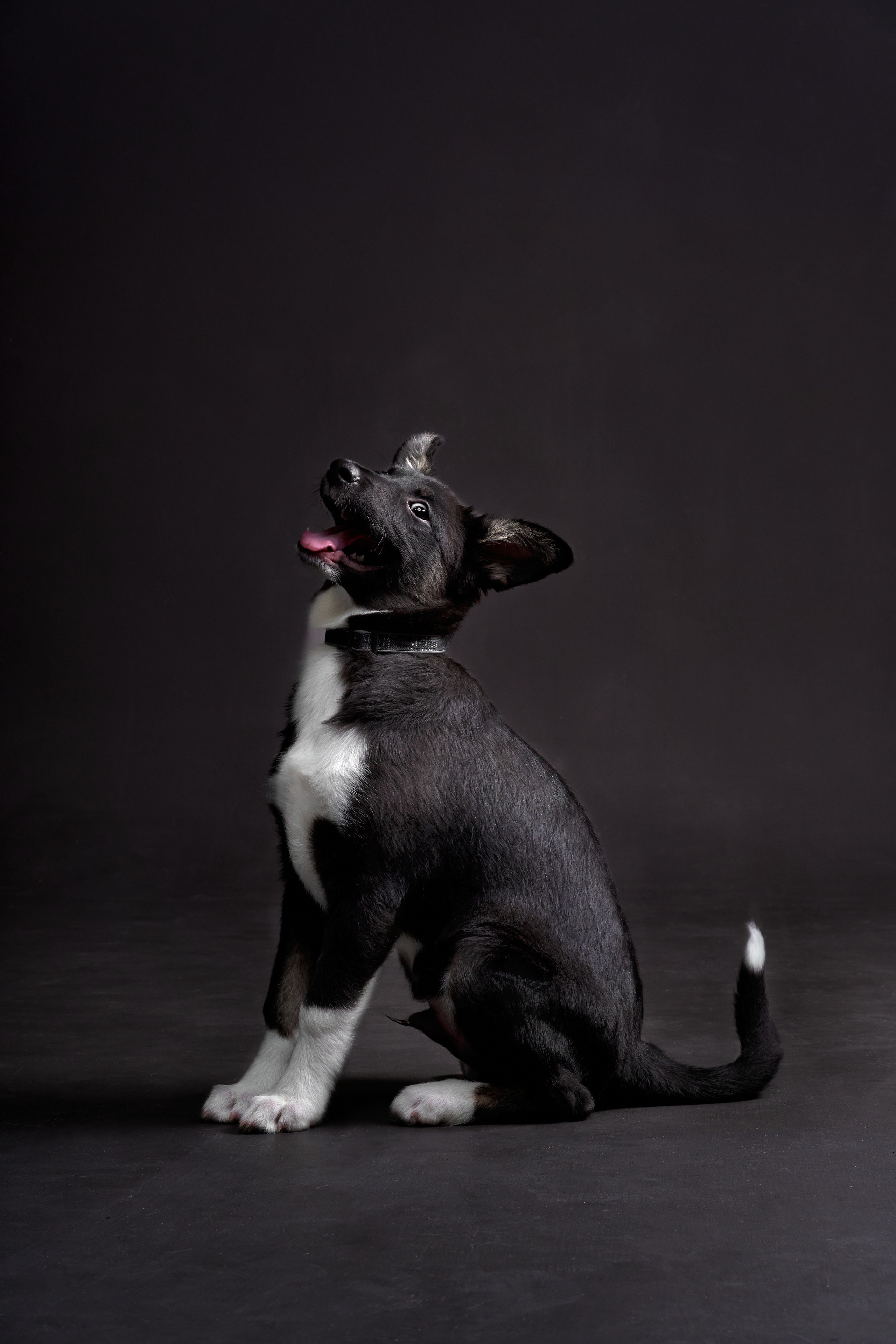 Студийные. Фотограф людей и животных в Санкт-Петербурге Марина Бурмистрова