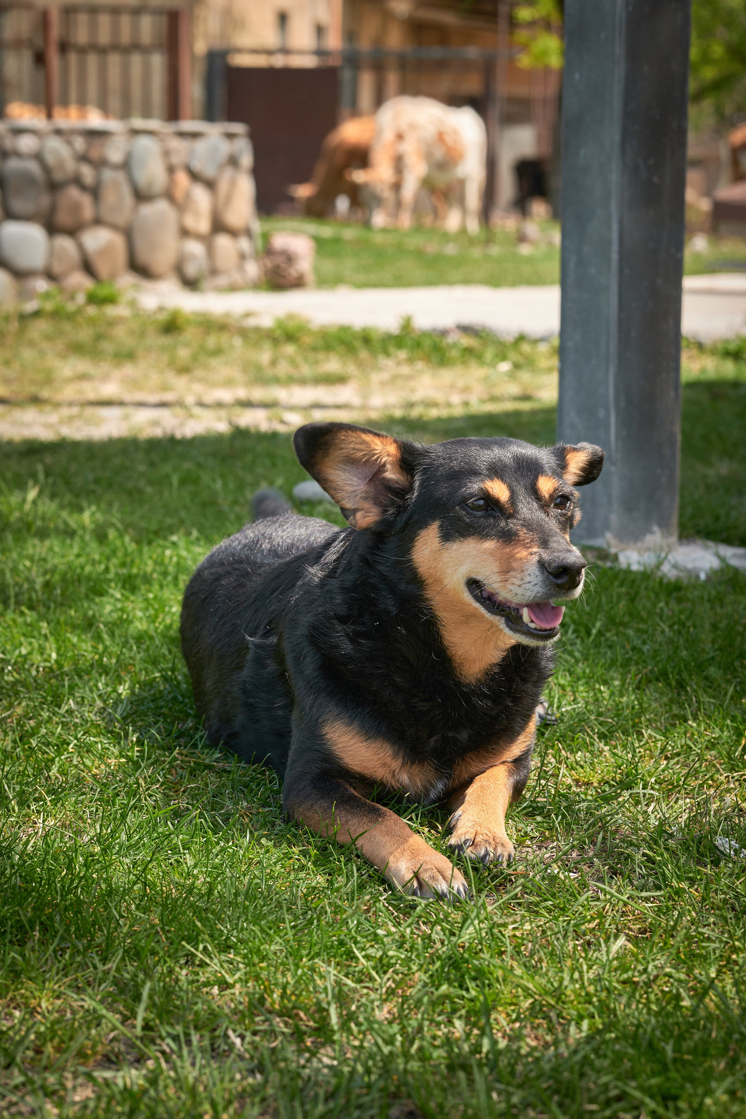 Абхазия 2022. Фотограф людей и животных в Санкт-Петербурге Марина Бурмистрова