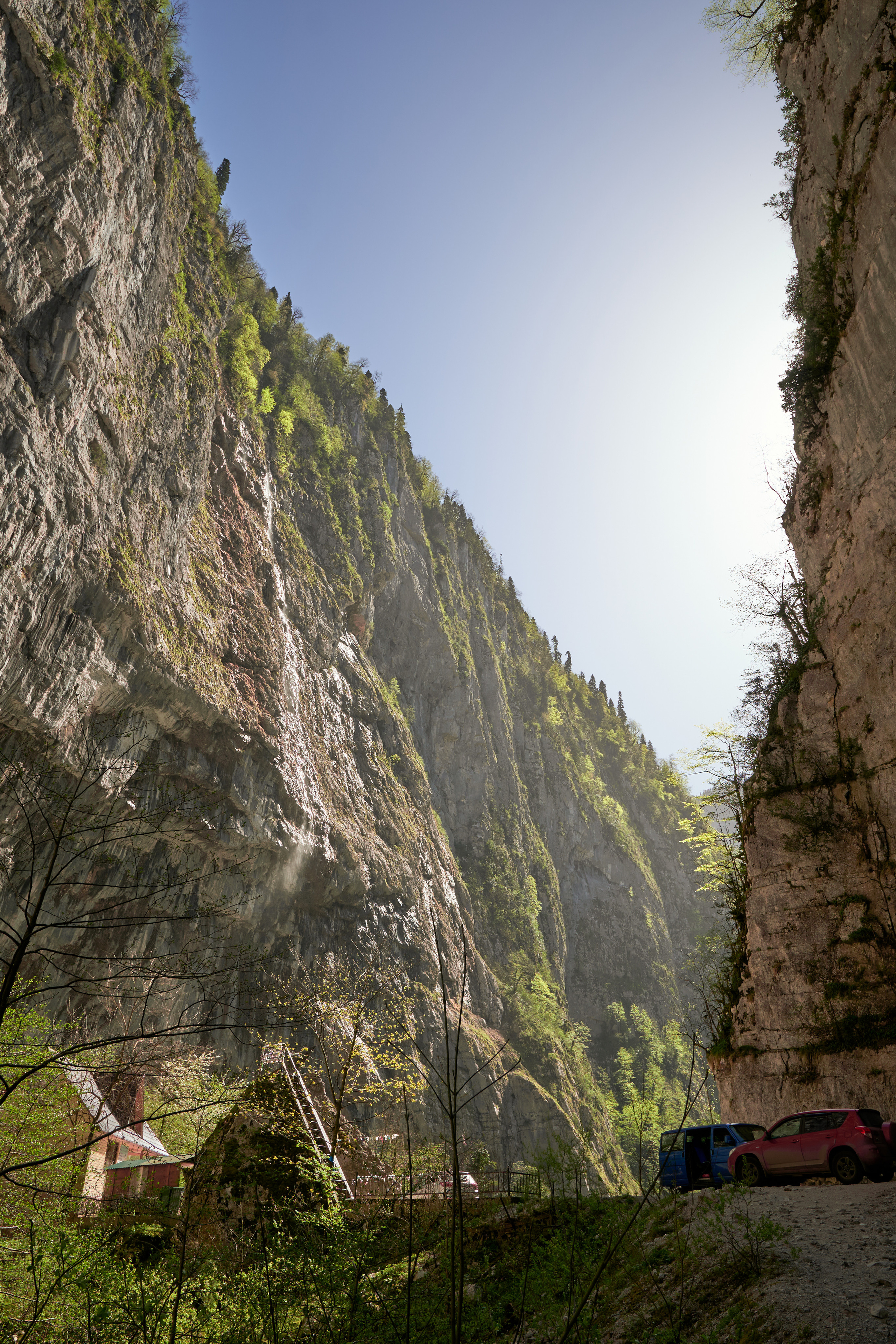 Абхазия 2022. Фотограф людей и животных в Санкт-Петербурге Марина Бурмистрова