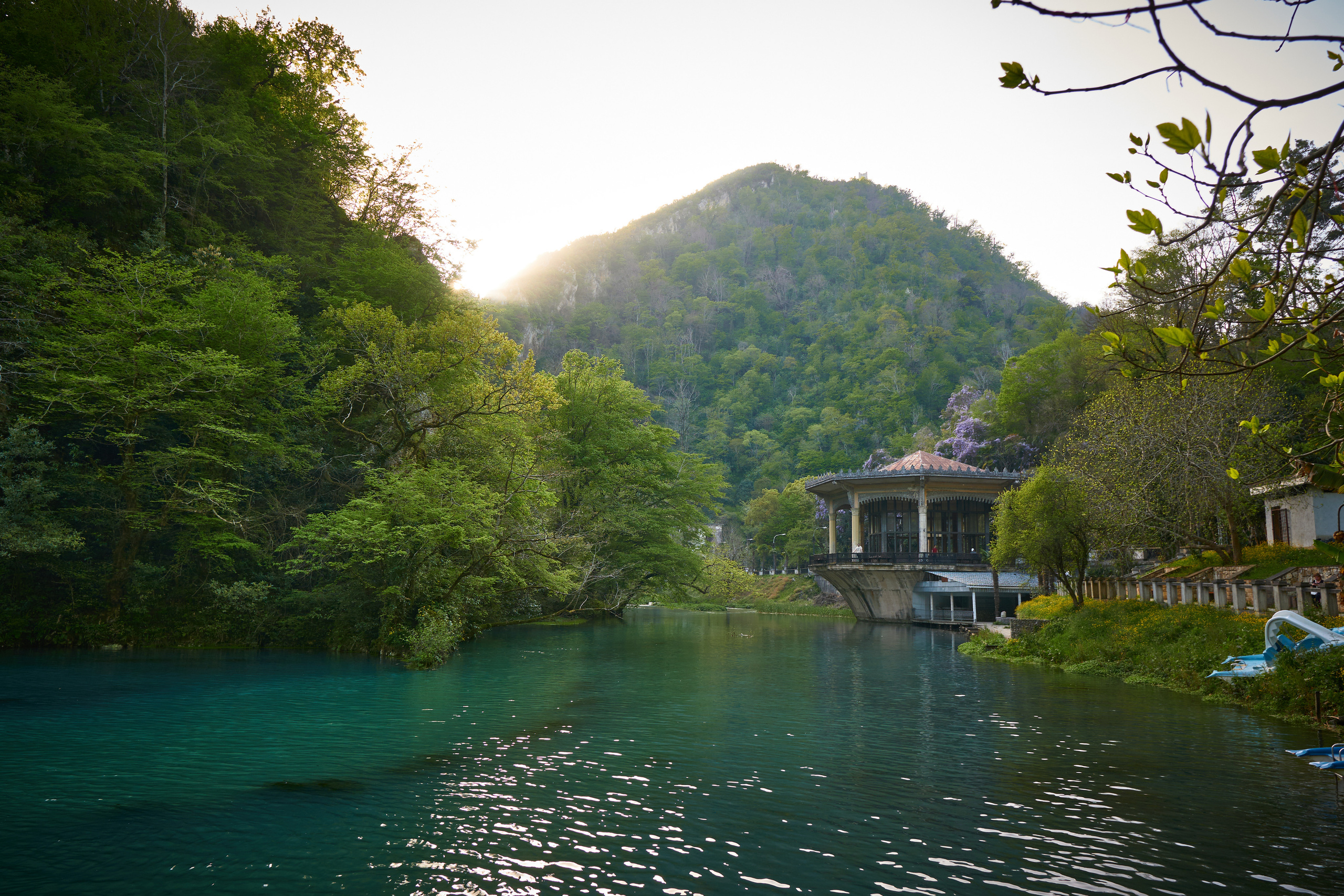 Абхазия 2022. Фотограф людей и животных в Санкт-Петербурге Марина Бурмистрова
