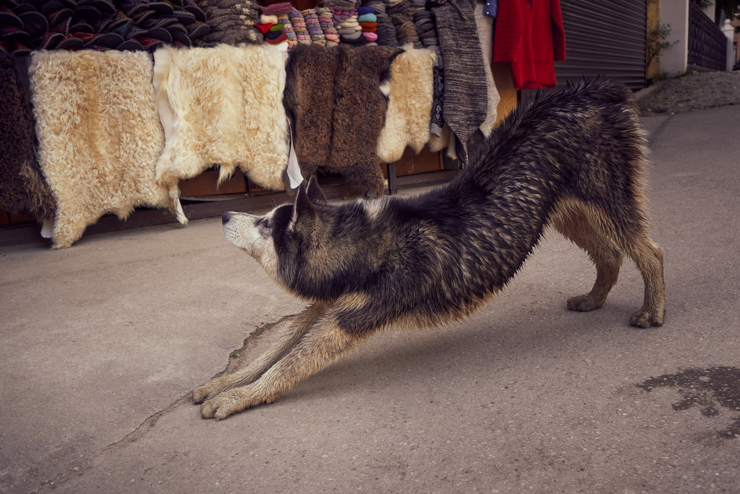Абхазия 2022. Фотограф людей и животных в Санкт-Петербурге Марина Бурмистрова