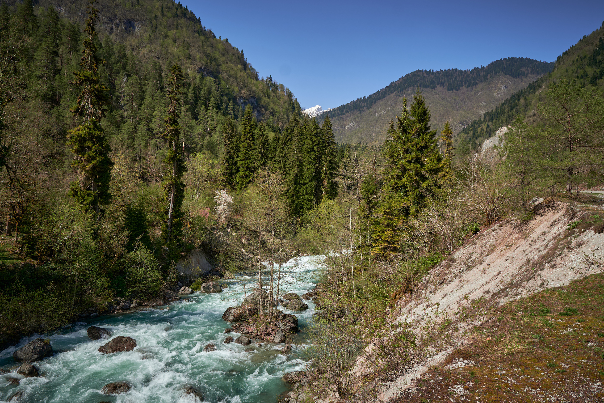 Абхазия 2022. Фотограф людей и животных в Санкт-Петербурге Марина Бурмистрова
