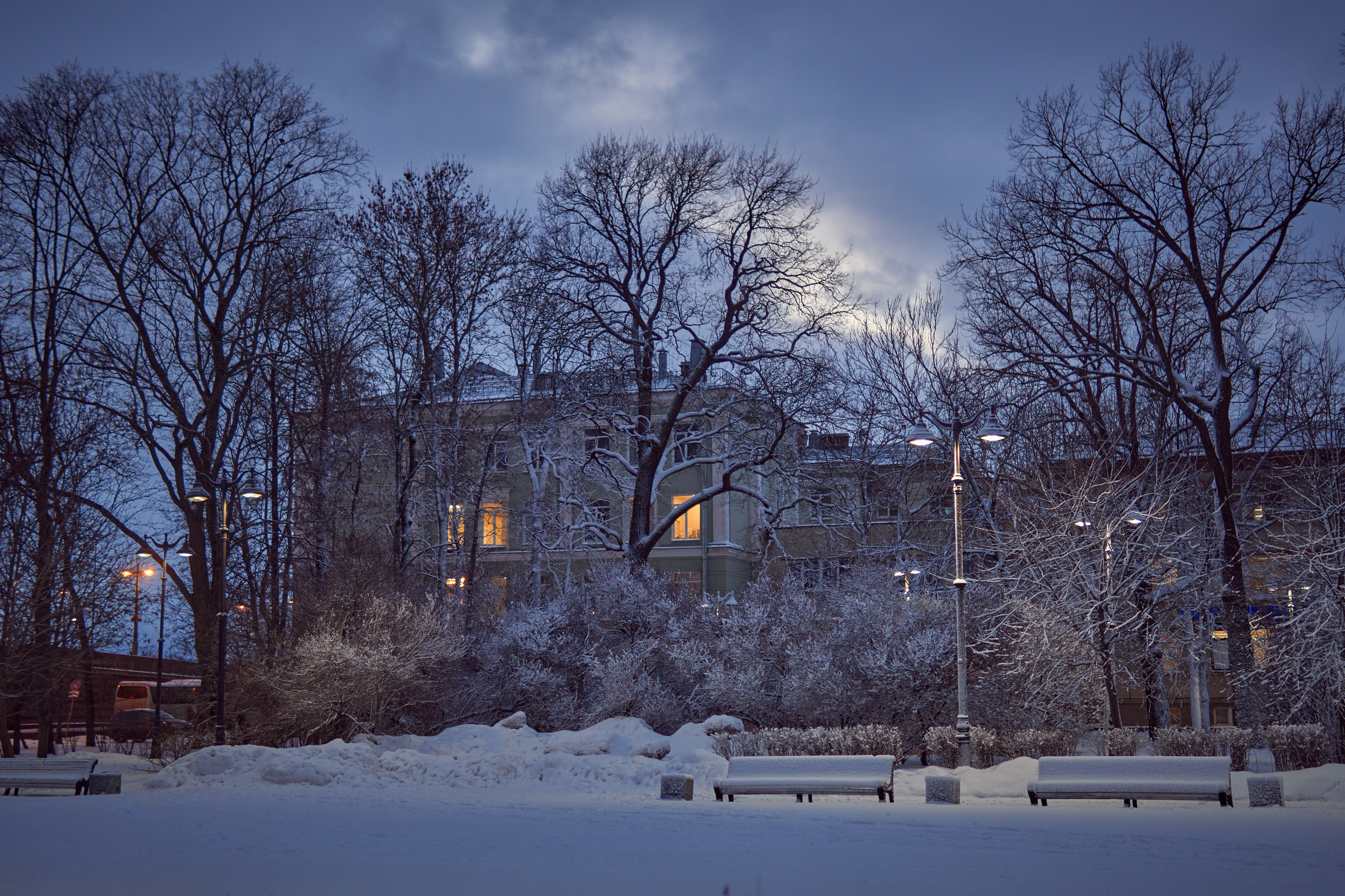 Художественный репортаж шторма в СПб. Фотограф людей и животных в Санкт-Петербурге Марина Бурмистрова