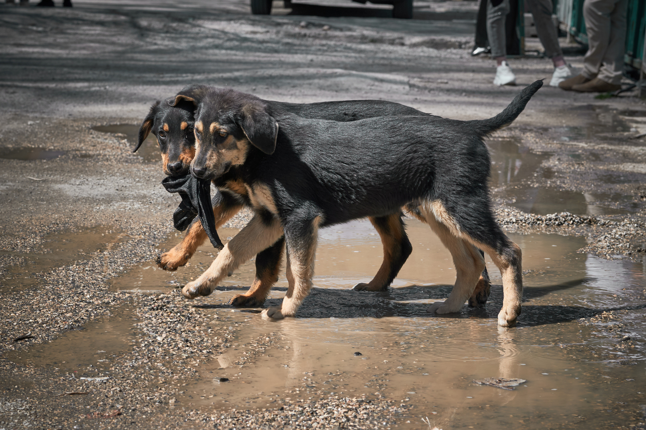 Абхазия 2022. Фотограф людей и животных в Санкт-Петербурге Марина Бурмистрова