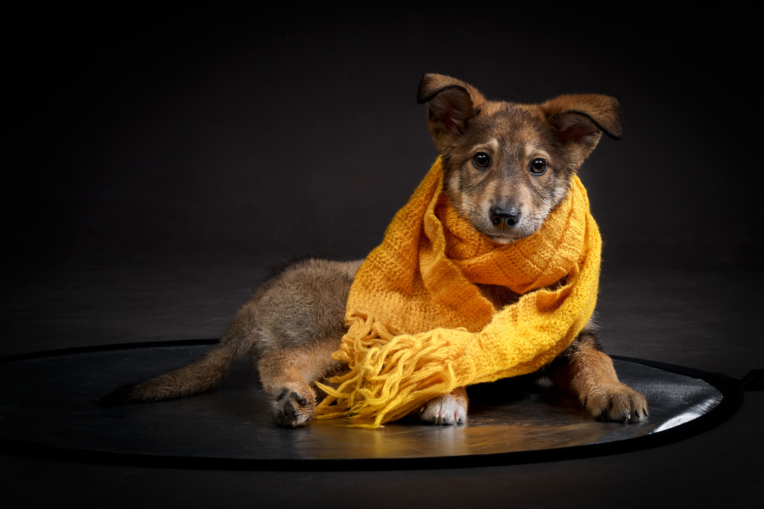 Студийные. Фотограф людей и животных в Санкт-Петербурге Марина Бурмистрова