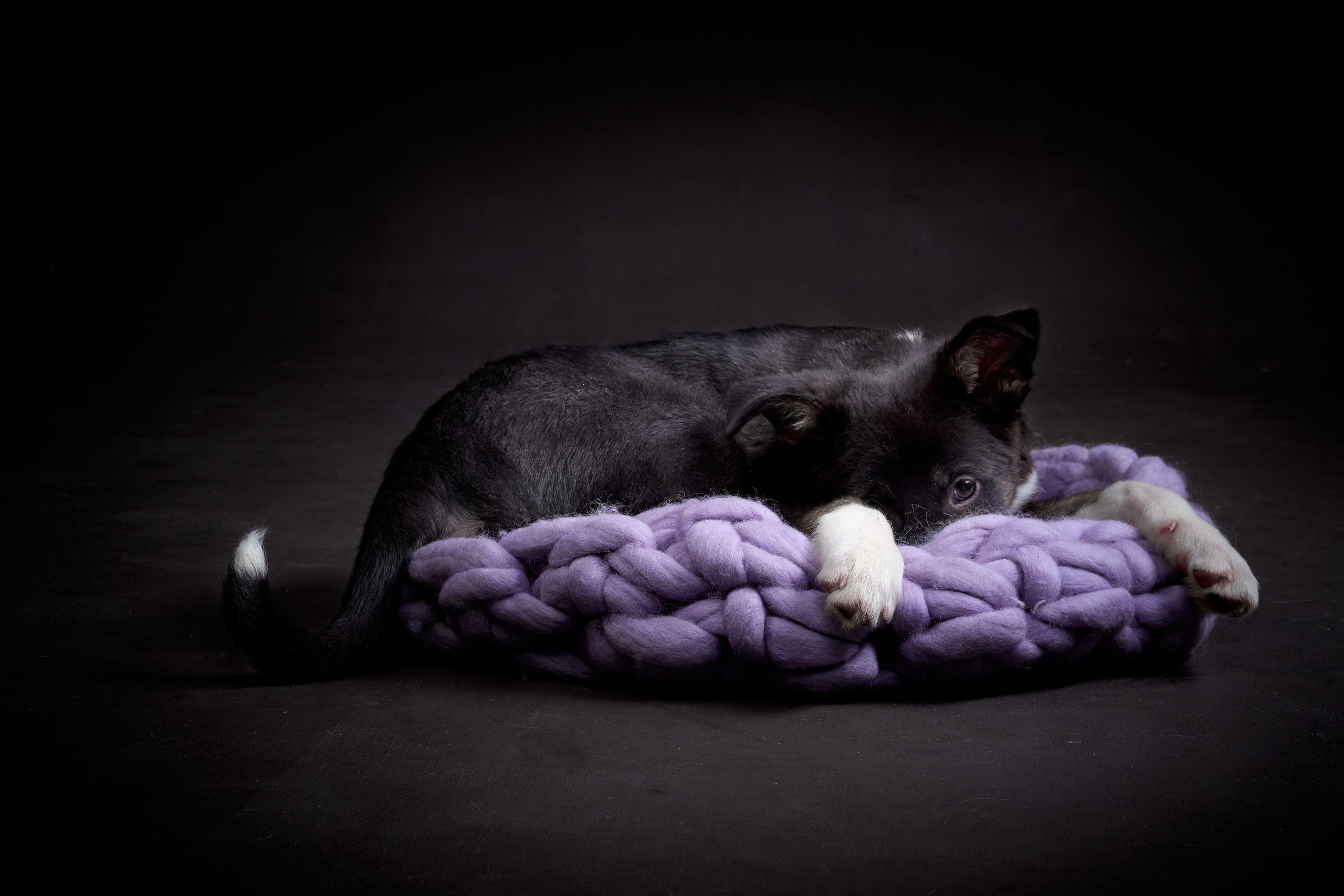 Студийные. Фотограф людей и животных в Санкт-Петербурге Марина Бурмистрова