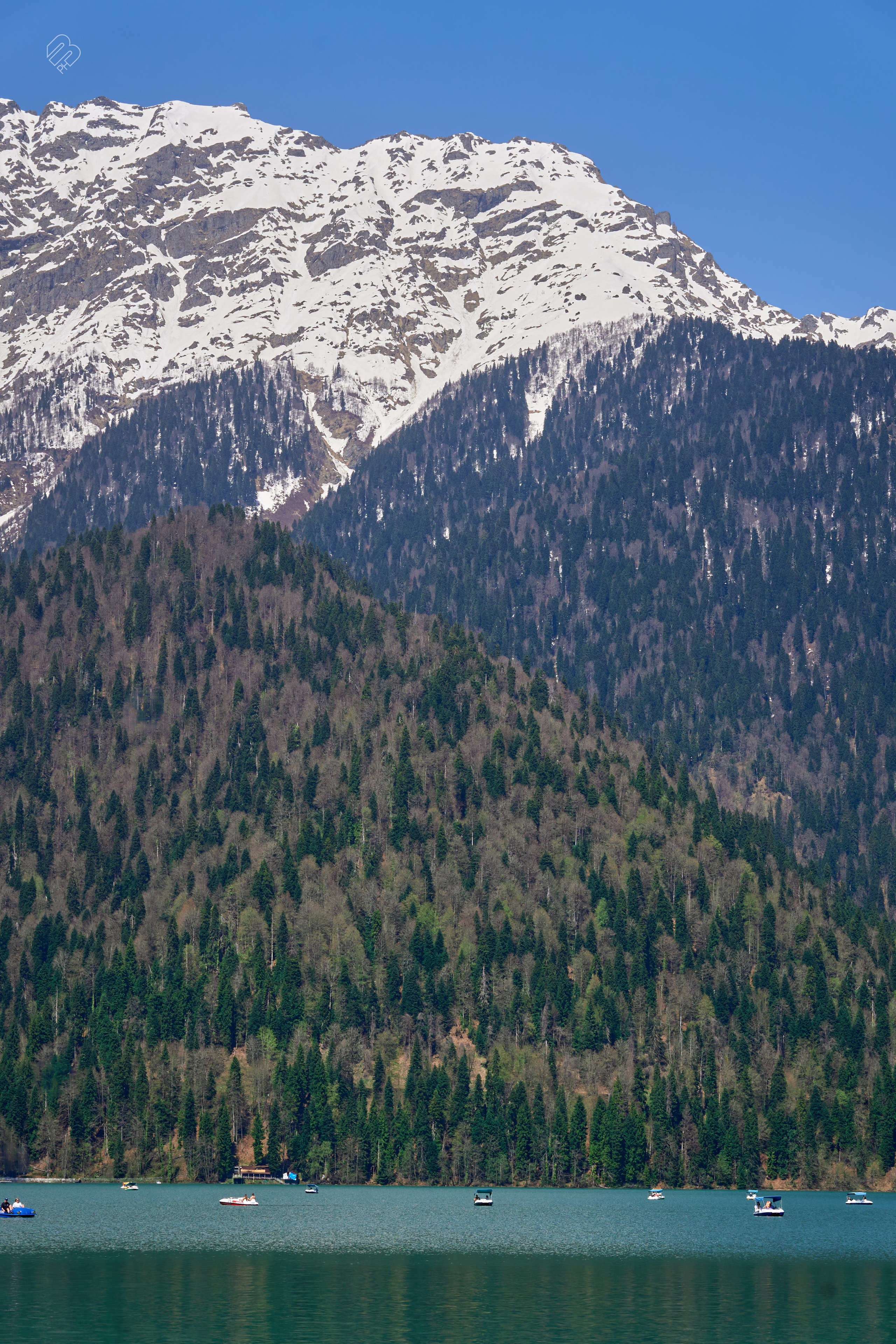 Абхазия 2022. Фотограф людей и животных в Санкт-Петербурге Марина Бурмистрова