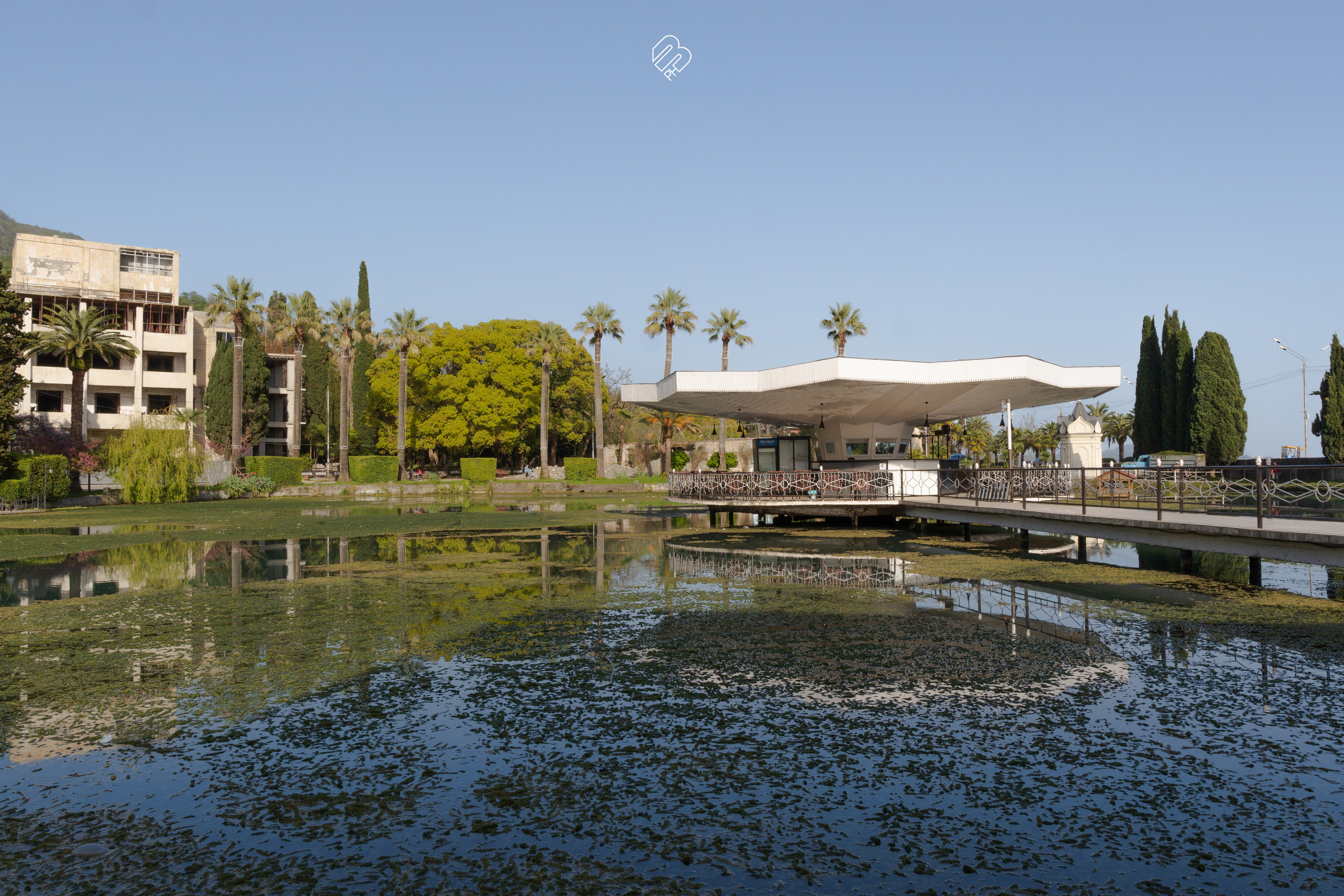 Абхазия 2022. Фотограф людей и животных в Санкт-Петербурге Марина Бурмистрова