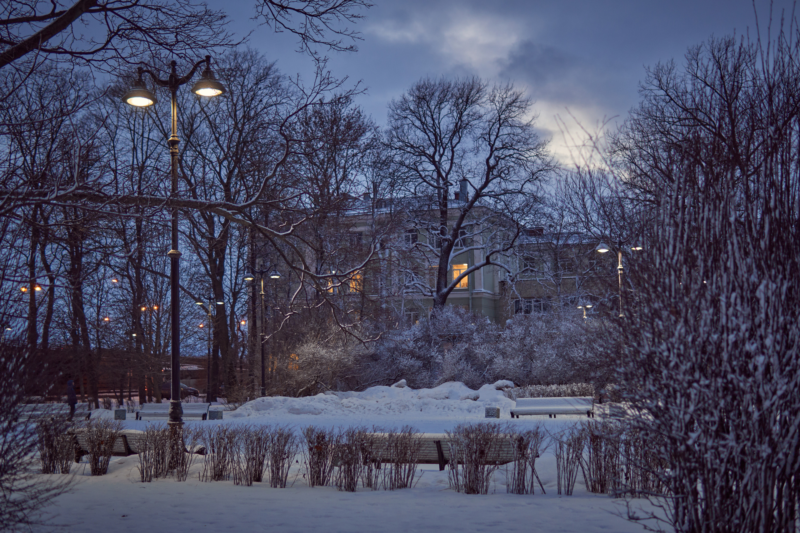 Художественный репортаж шторма в СПб. Фотограф людей и животных в Санкт-Петербурге Марина Бурмистрова