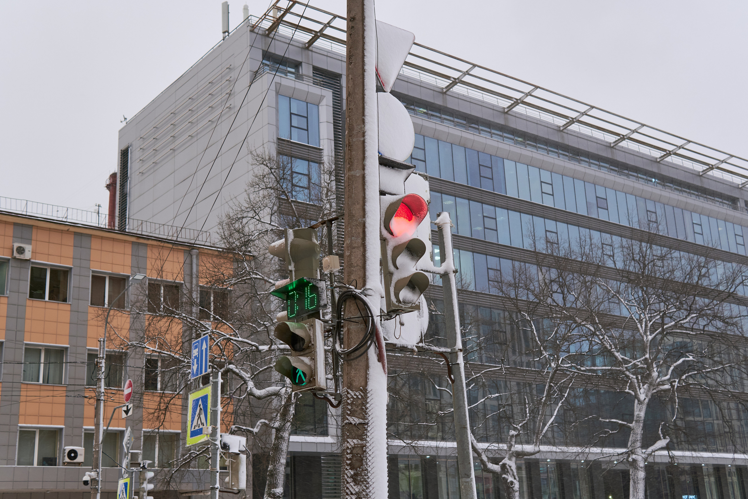 Художественный репортаж шторма в СПб. Фотограф людей и животных в Санкт-Петербурге Марина Бурмистрова