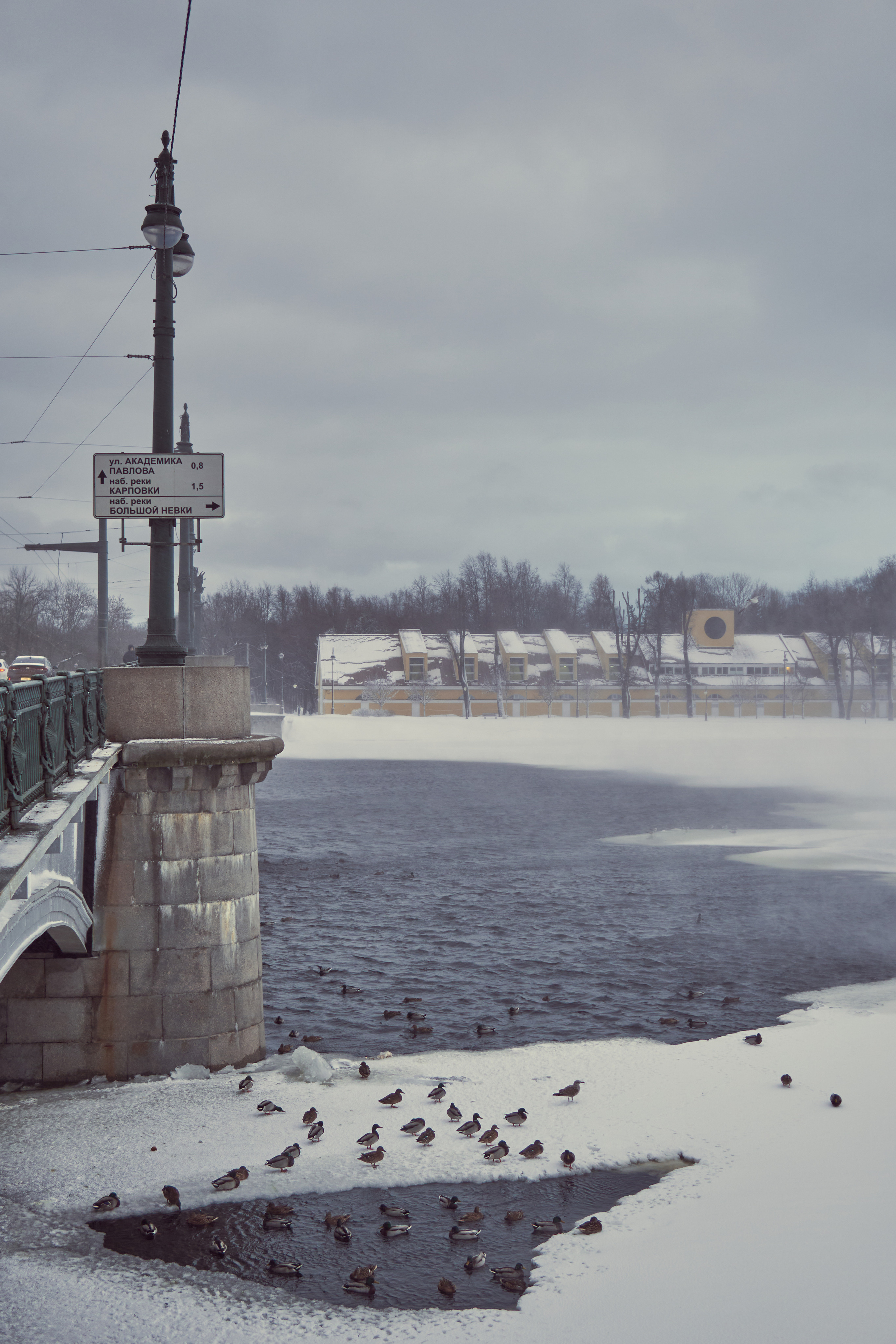 Художественный репортаж шторма в СПб. Фотограф людей и животных в Санкт-Петербурге Марина Бурмистрова