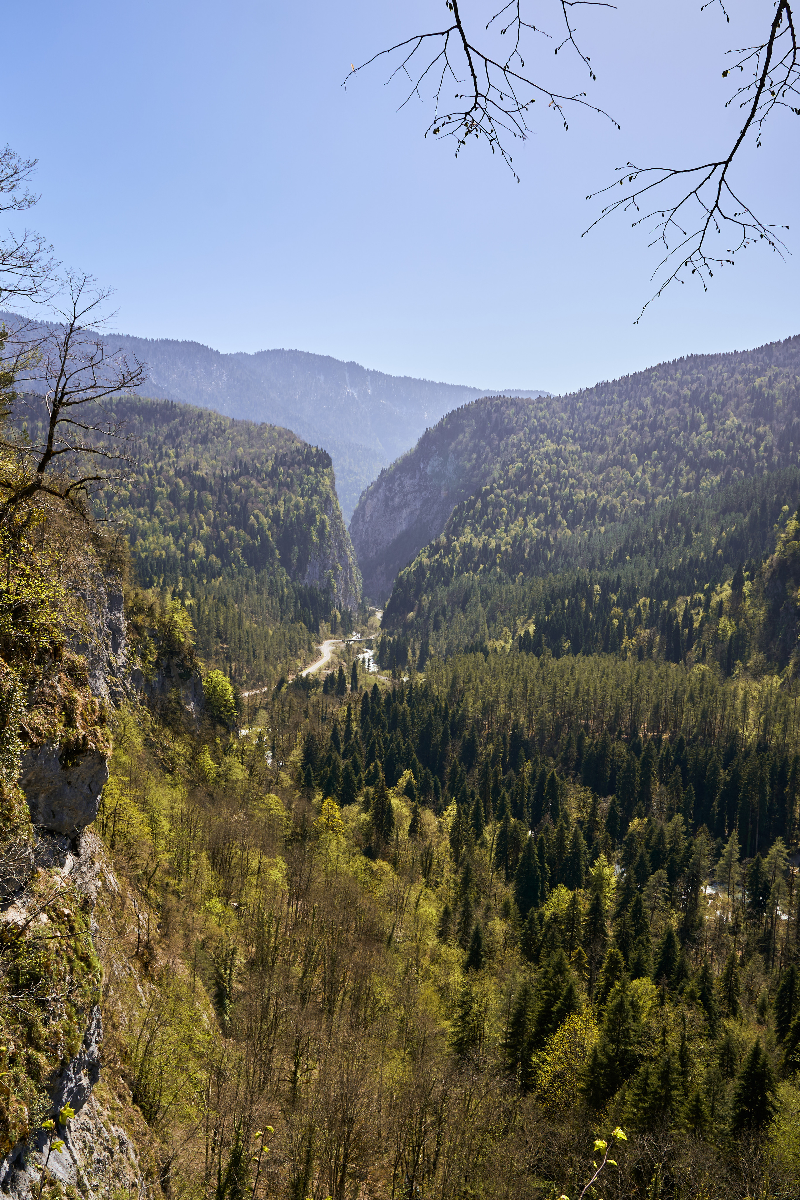 Абхазия 2022. Фотограф людей и животных в Санкт-Петербурге Марина Бурмистрова
