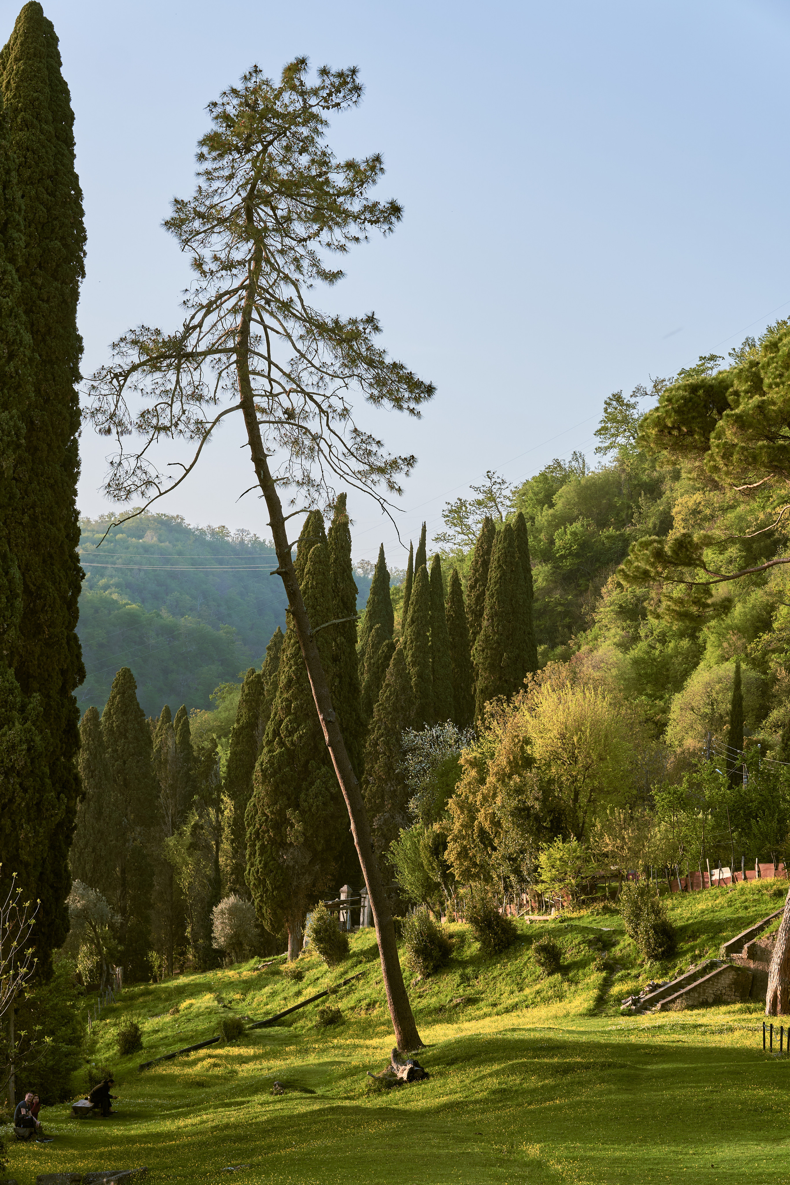 Абхазия 2022. Фотограф людей и животных в Санкт-Петербурге Марина Бурмистрова