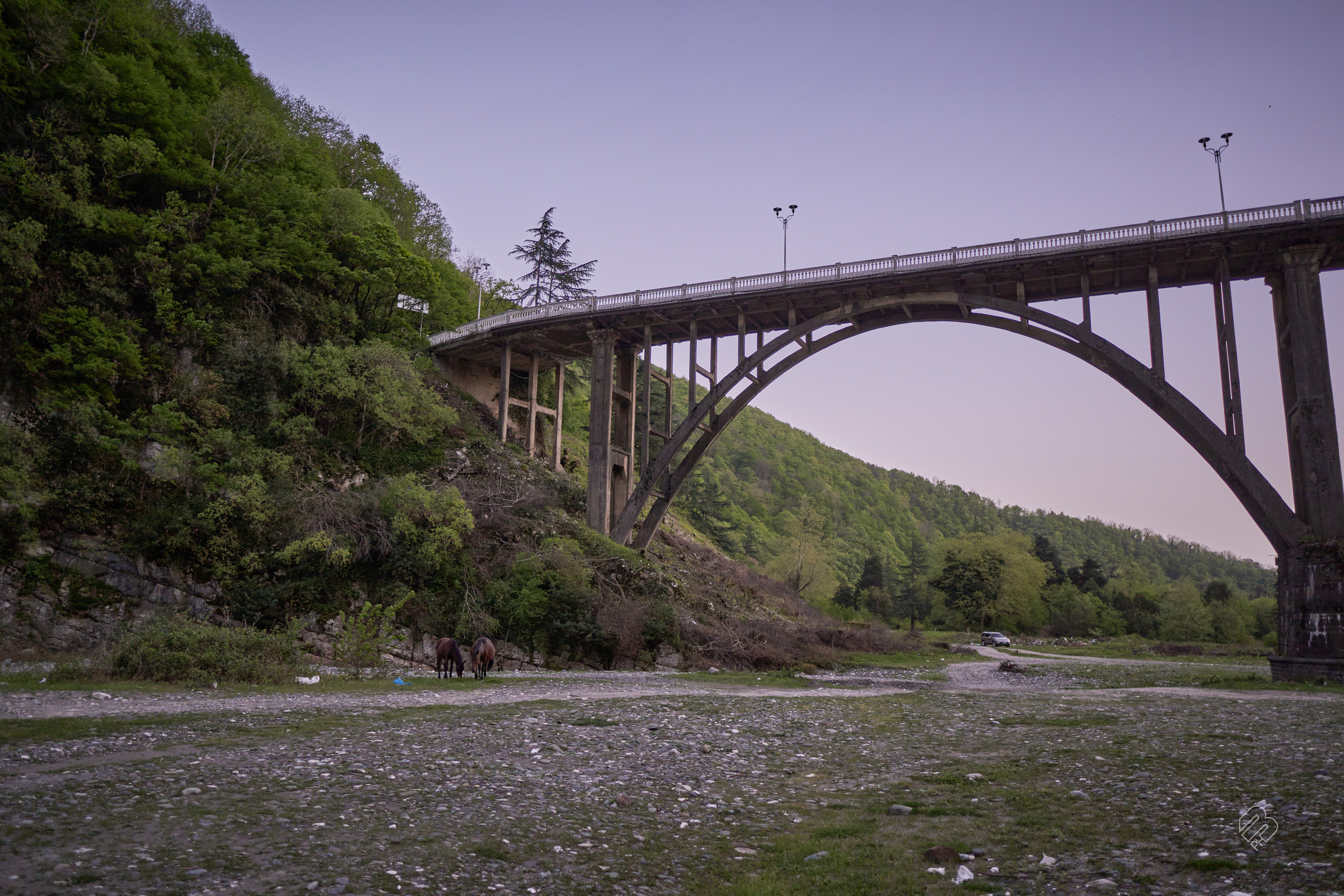 Абхазия 2022. Фотограф людей и животных в Санкт-Петербурге Марина Бурмистрова