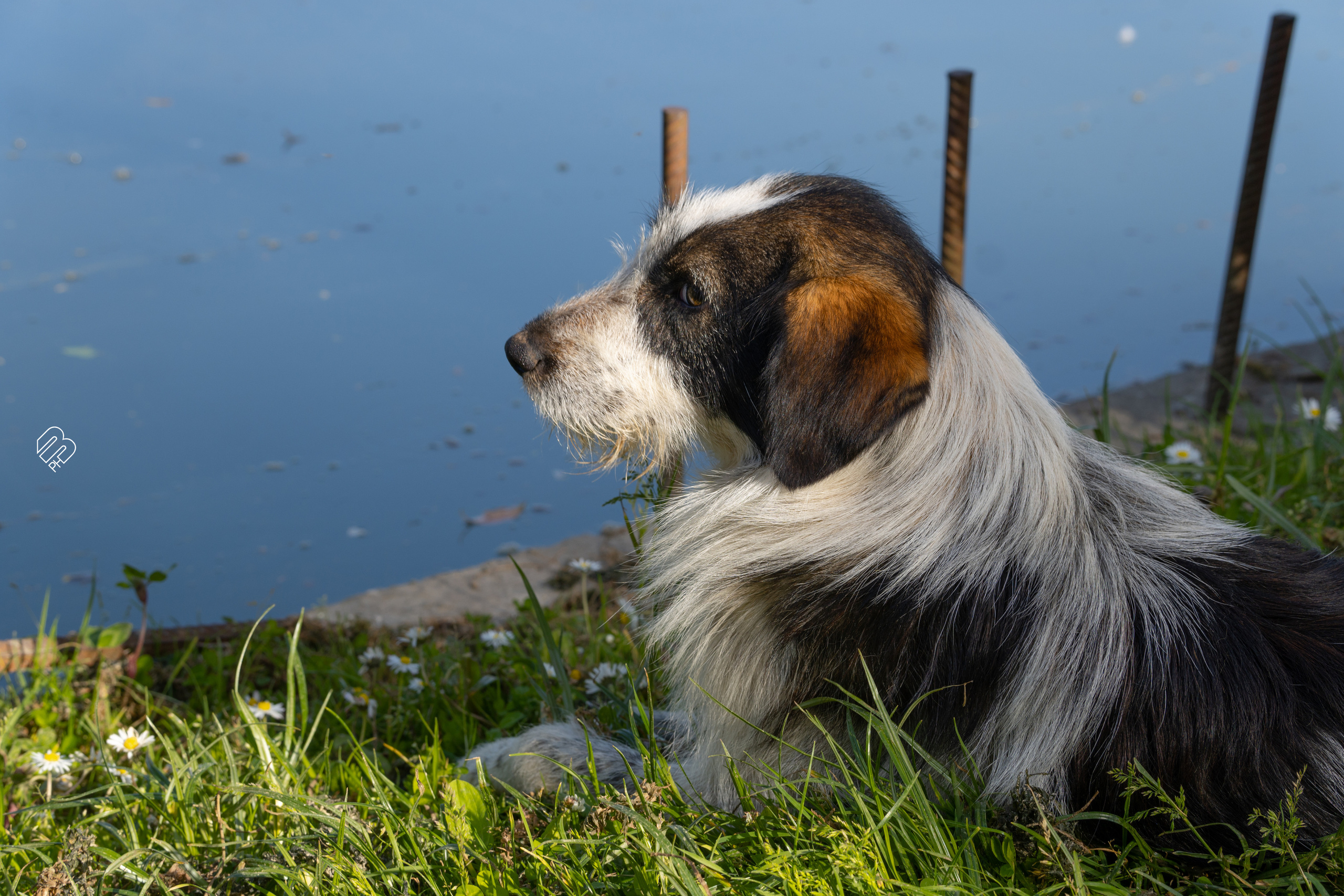 Абхазия 2022. Фотограф людей и животных в Санкт-Петербурге Марина Бурмистрова