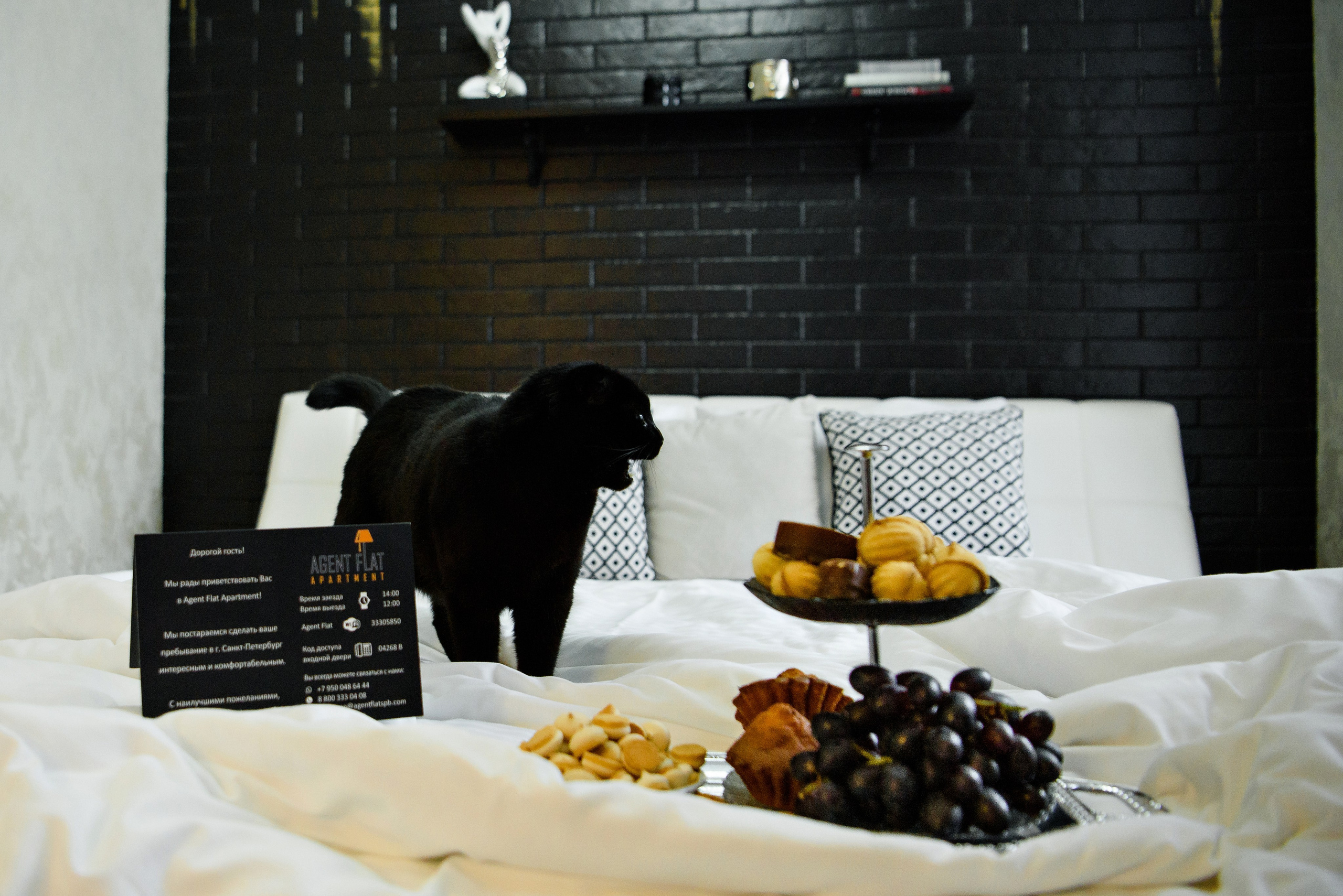 Апартаменты Agent Flat. Свадебный фотограф в Санкт-Петербурге София Шубик