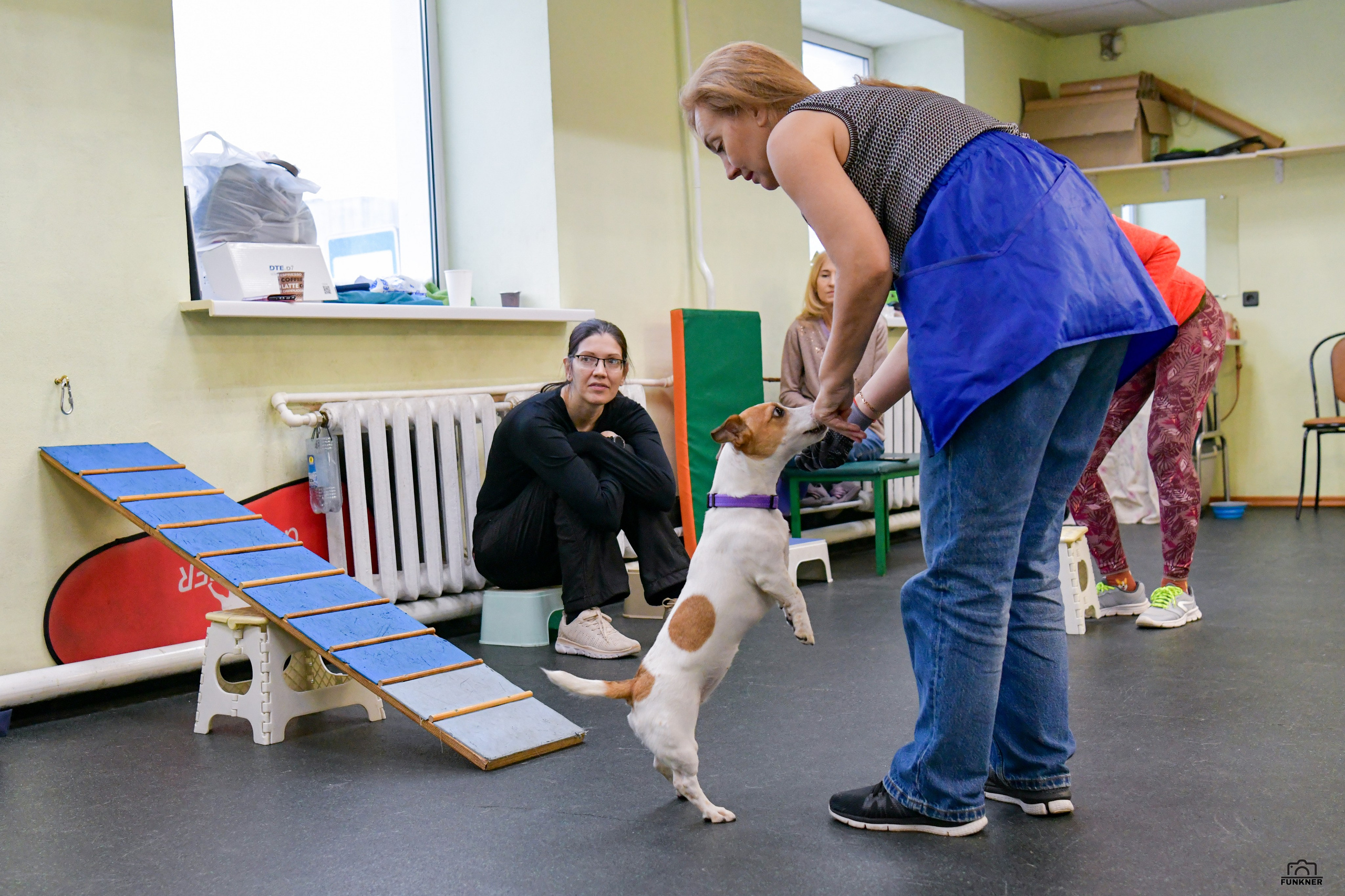 Кинологический клуб «Бодрый хвост». Свой взгляд через объектив