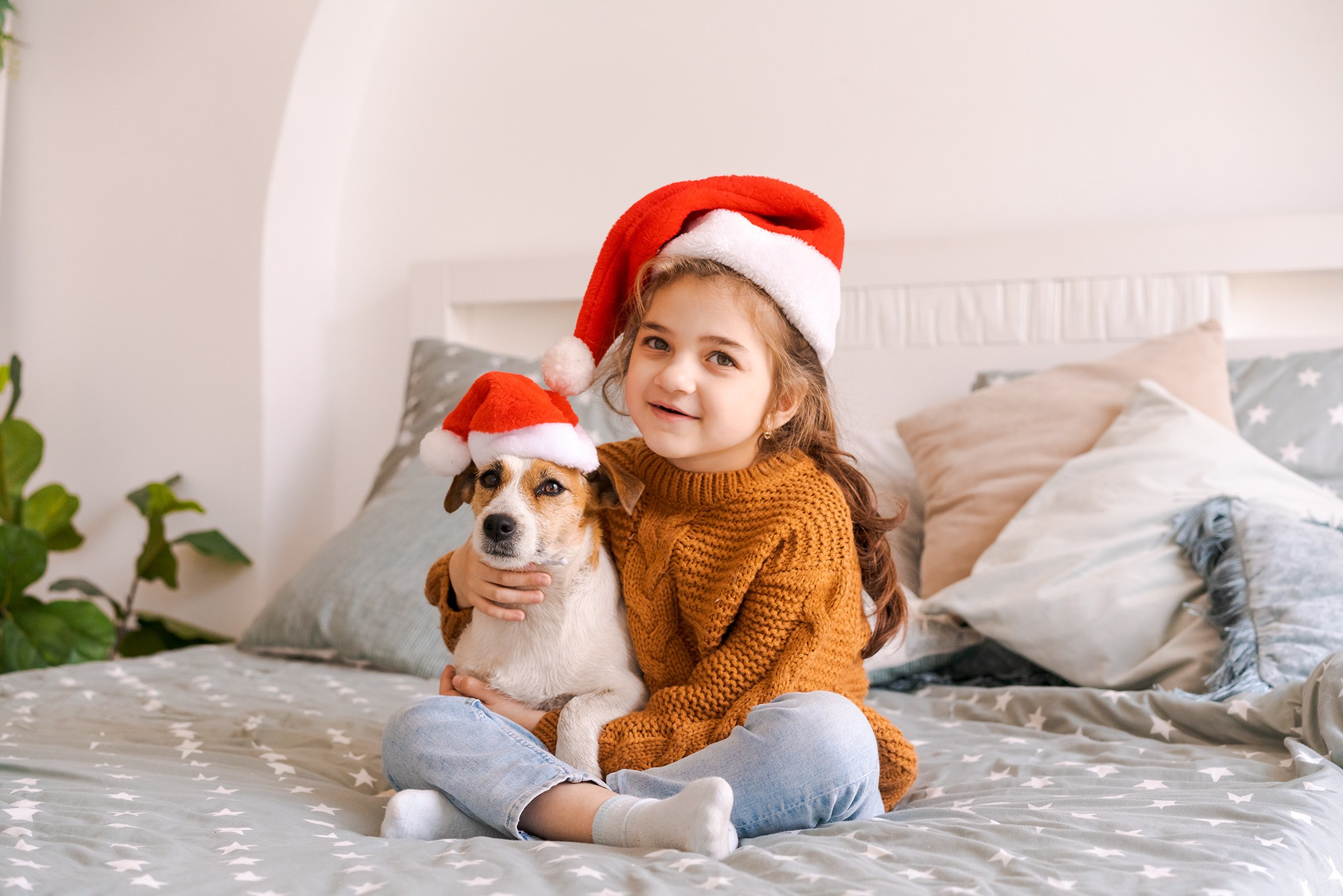 фотосессия с животными, фотосессия с домашним питомцем в Санкт-Петербурге, фото с животными,  Фотограф Санкт-Петербург, фотограф в Санкт-Петербурге, услуги фотографа, фотосессия в Санкт-Петербурге, фотосессия Санкт-Петербурге,   портфолио, индивидуальная фотосессия в Санкт-Петербурге, портретная съемка, портретный фотограф, портретный фотограф в Санкт-Петербурге, 