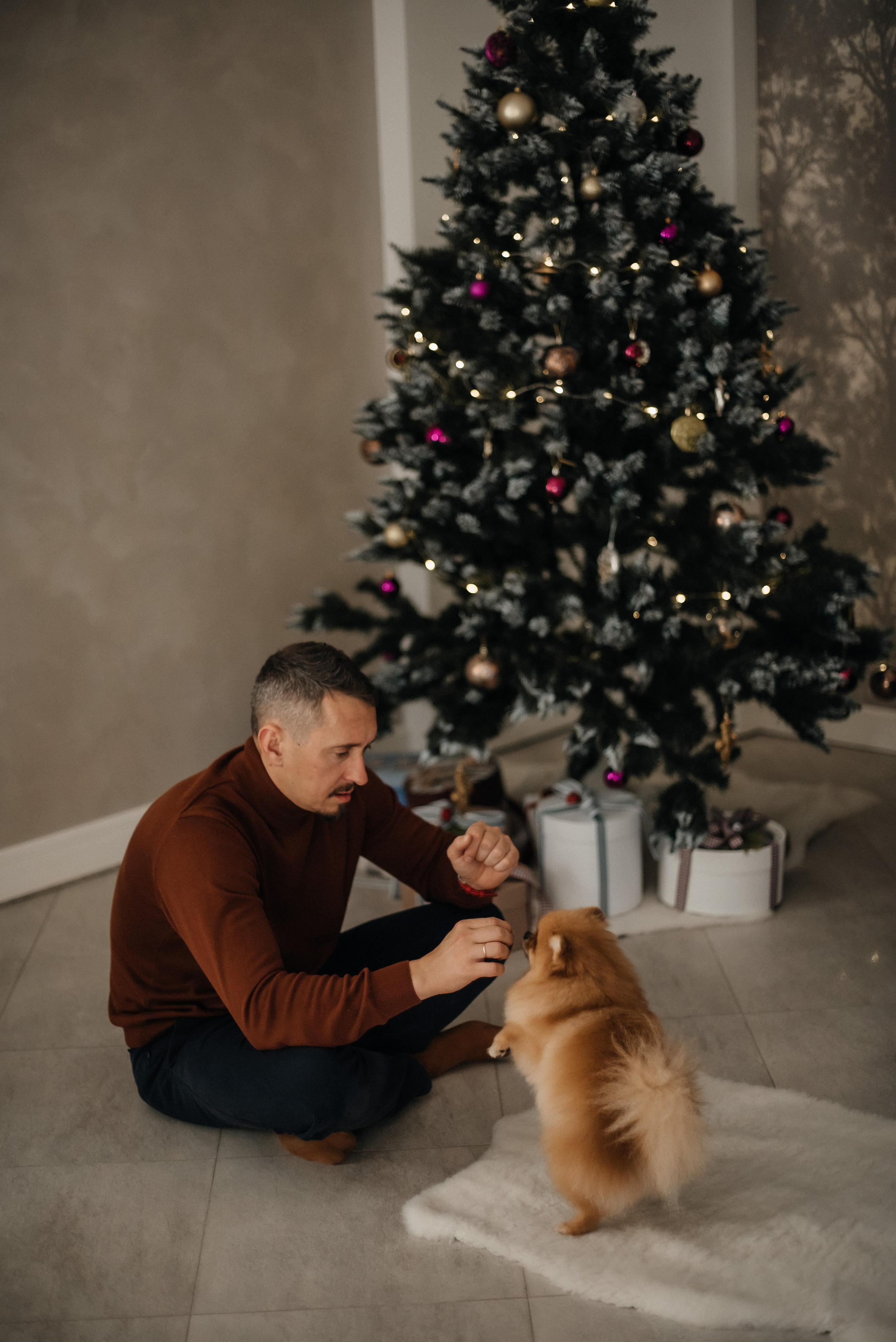 Новогодняя дома. Свадебный и семейный фотограф в Белгороде