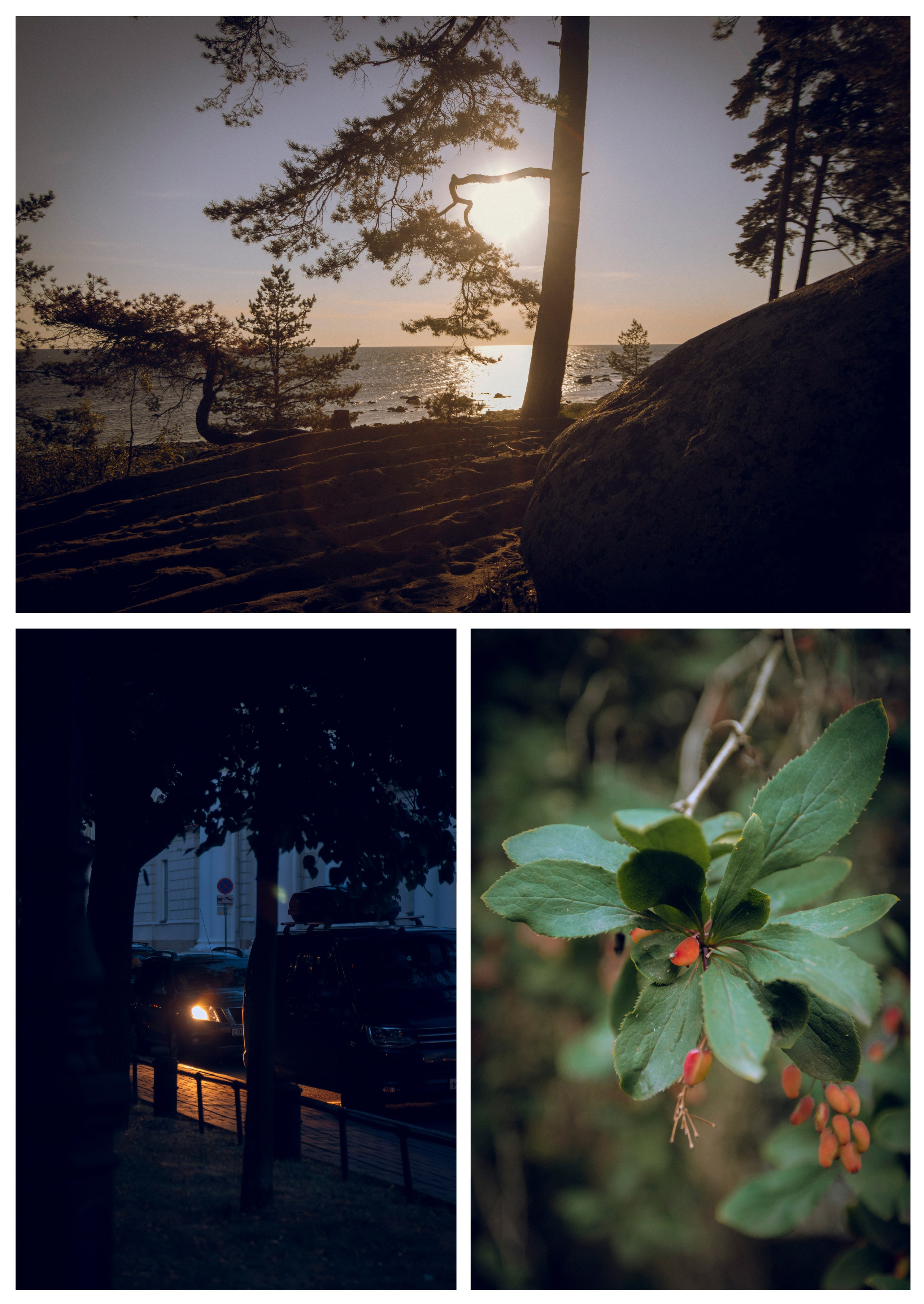 Из наблюдений. Плак или Квак