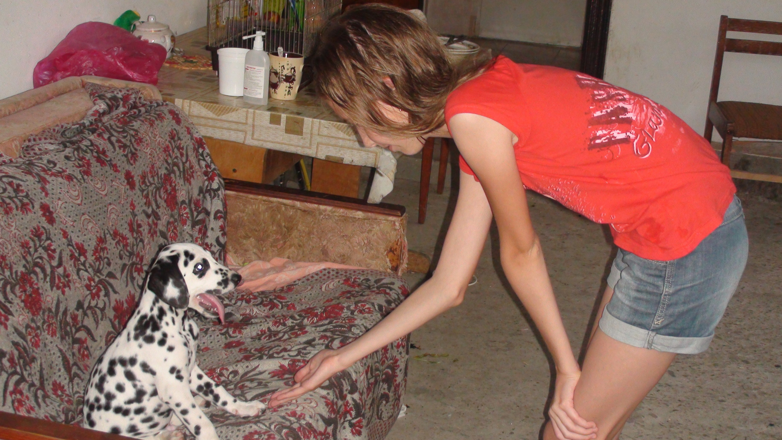 Кабардинка 05-19.07.2013. Семейный, Свадебный фотограф СПБ Питер— Романова Екатерина