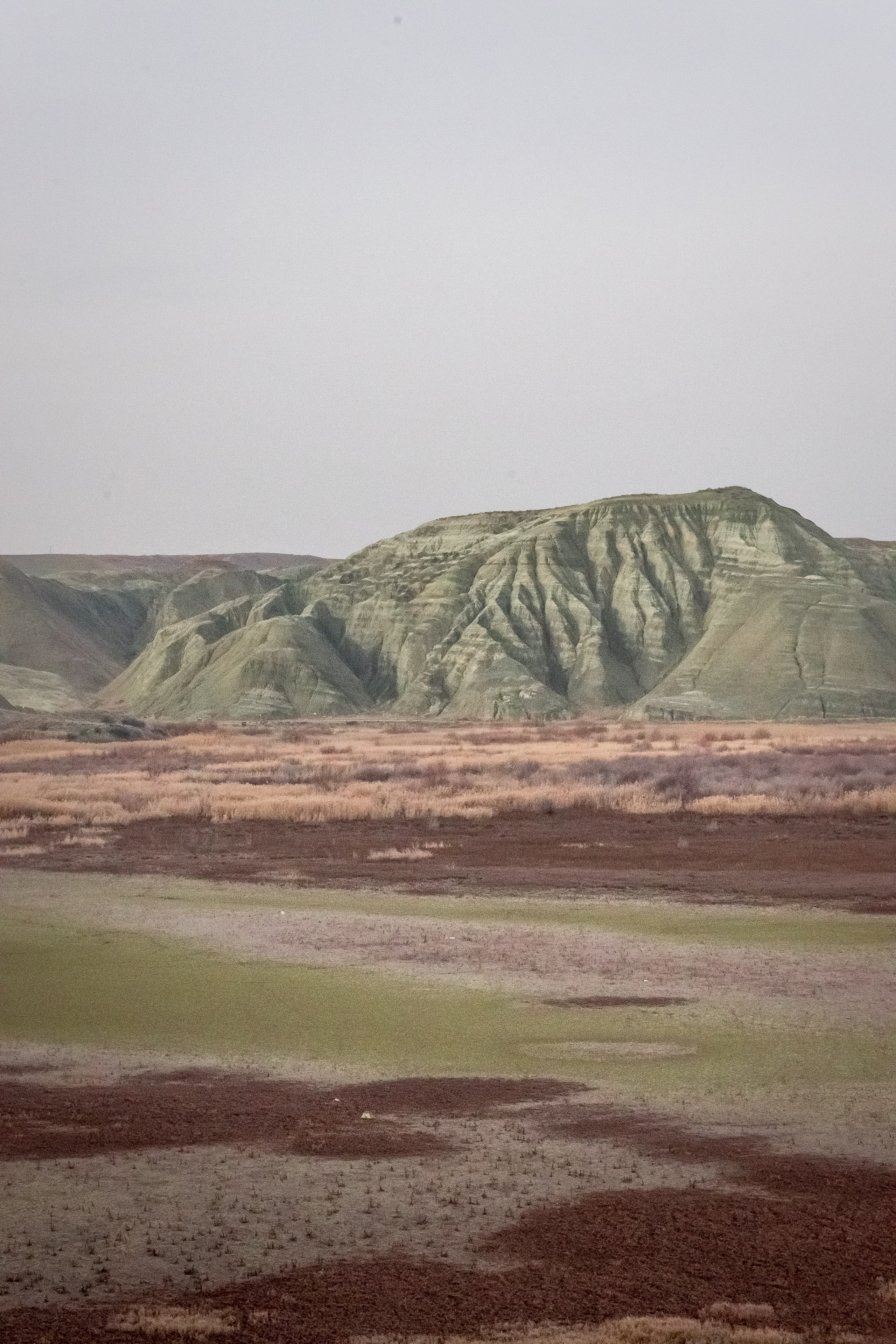Турция, Птичий заповедник Наллихан. Юля Дэй • Фотограф, Санкт-Петербург