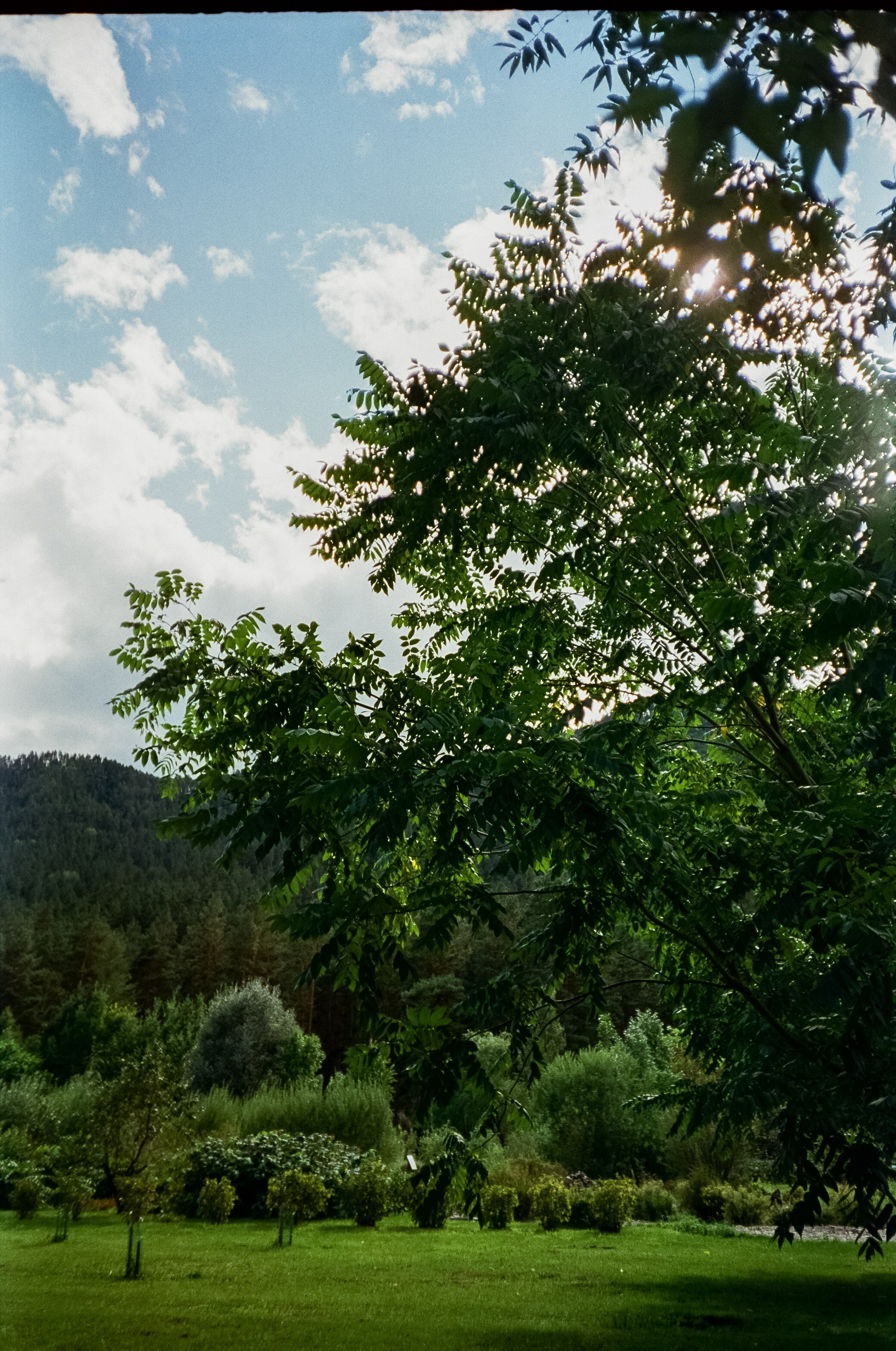 Шаманский Алтай. Фотограф-документалист Мария Осокина